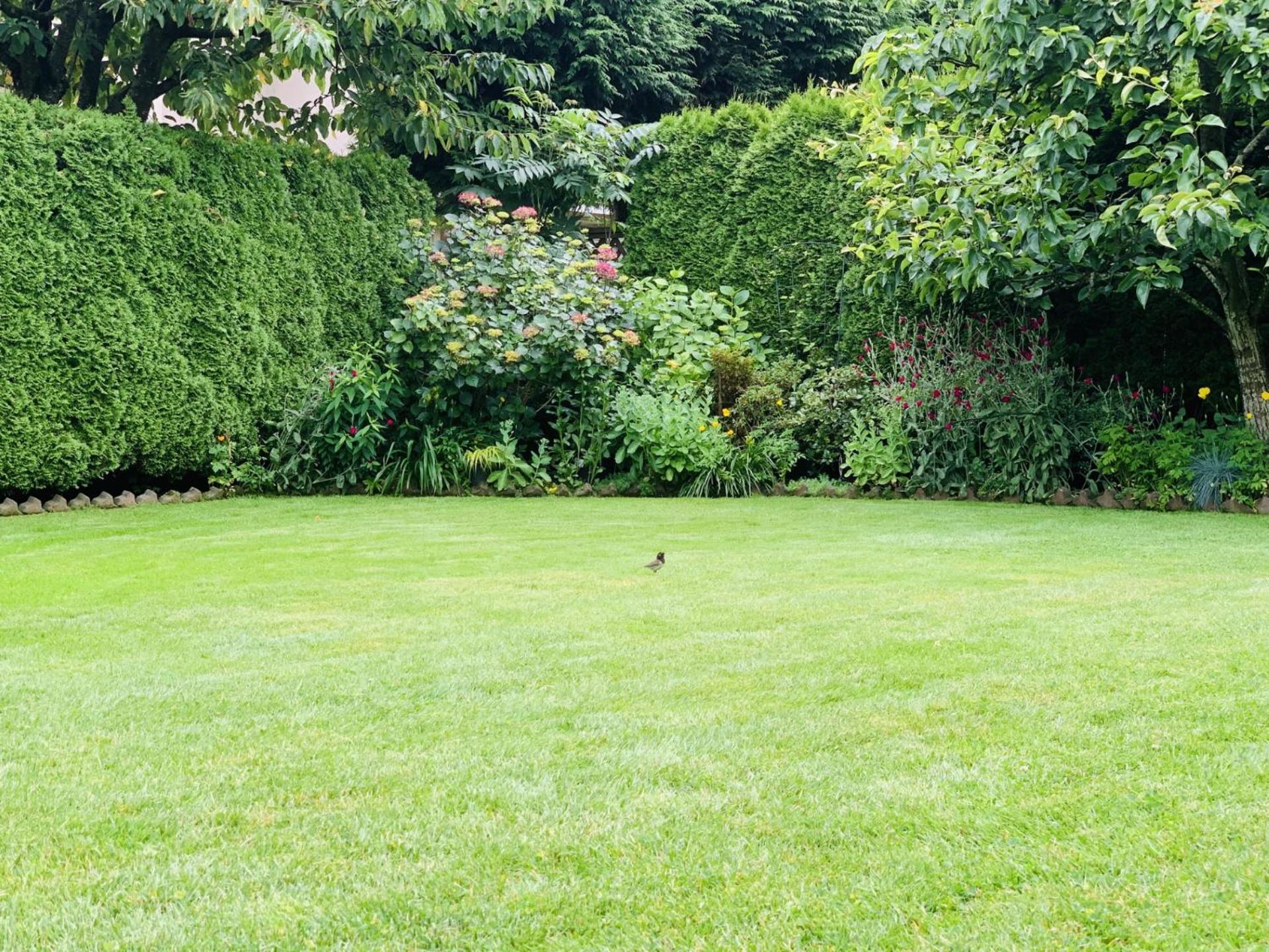 Richmond Garden Retreat