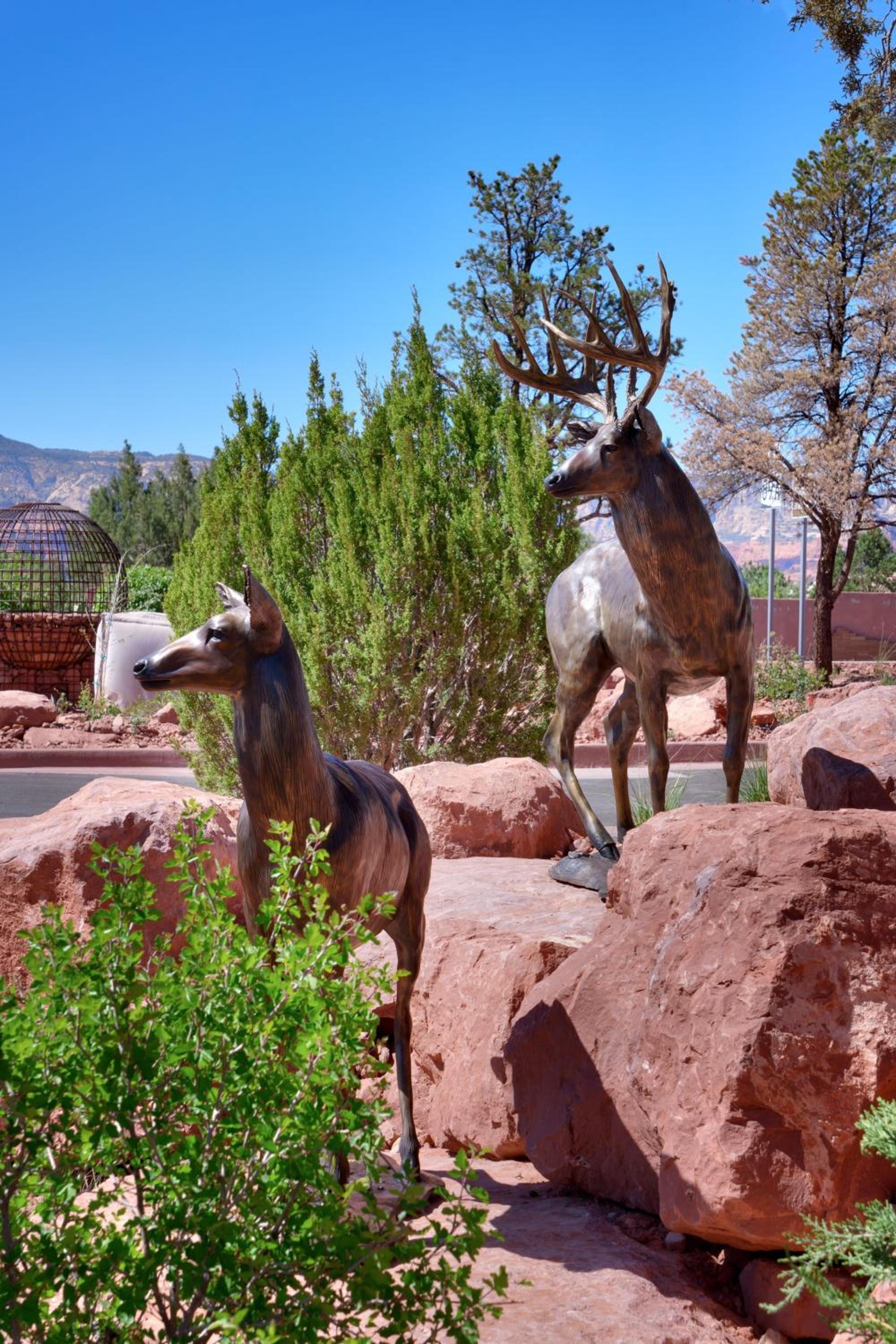 Sedona Vacations - Residence Inn by Marriott Sedona - Property Image 17