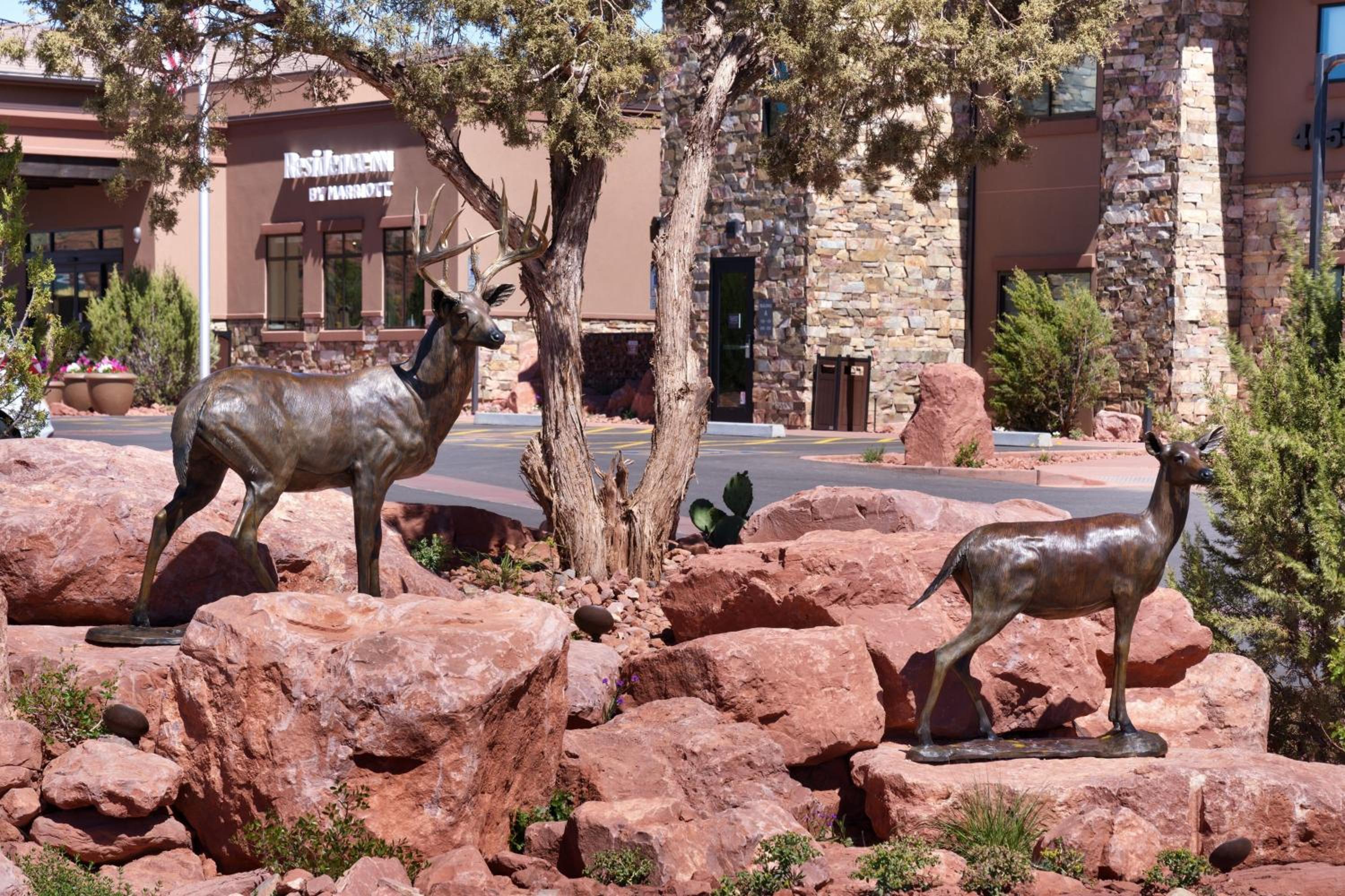 Sedona Vacations - Residence Inn by Marriott Sedona - Property Image 18