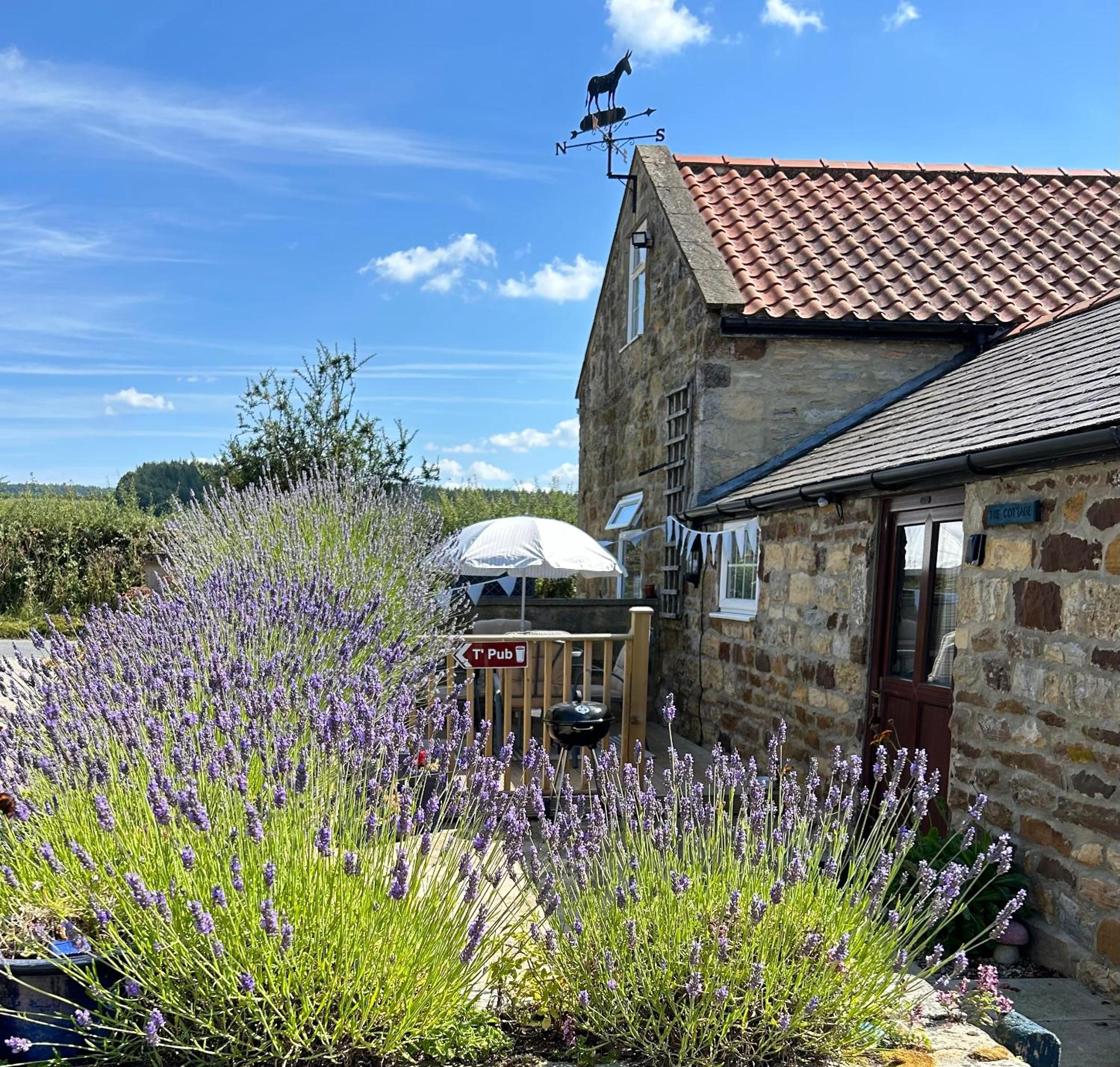 Twattleton Cottage Kilburn Yorkshire - Beautiful views view 2
