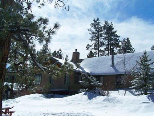 Golden Bear Cottages