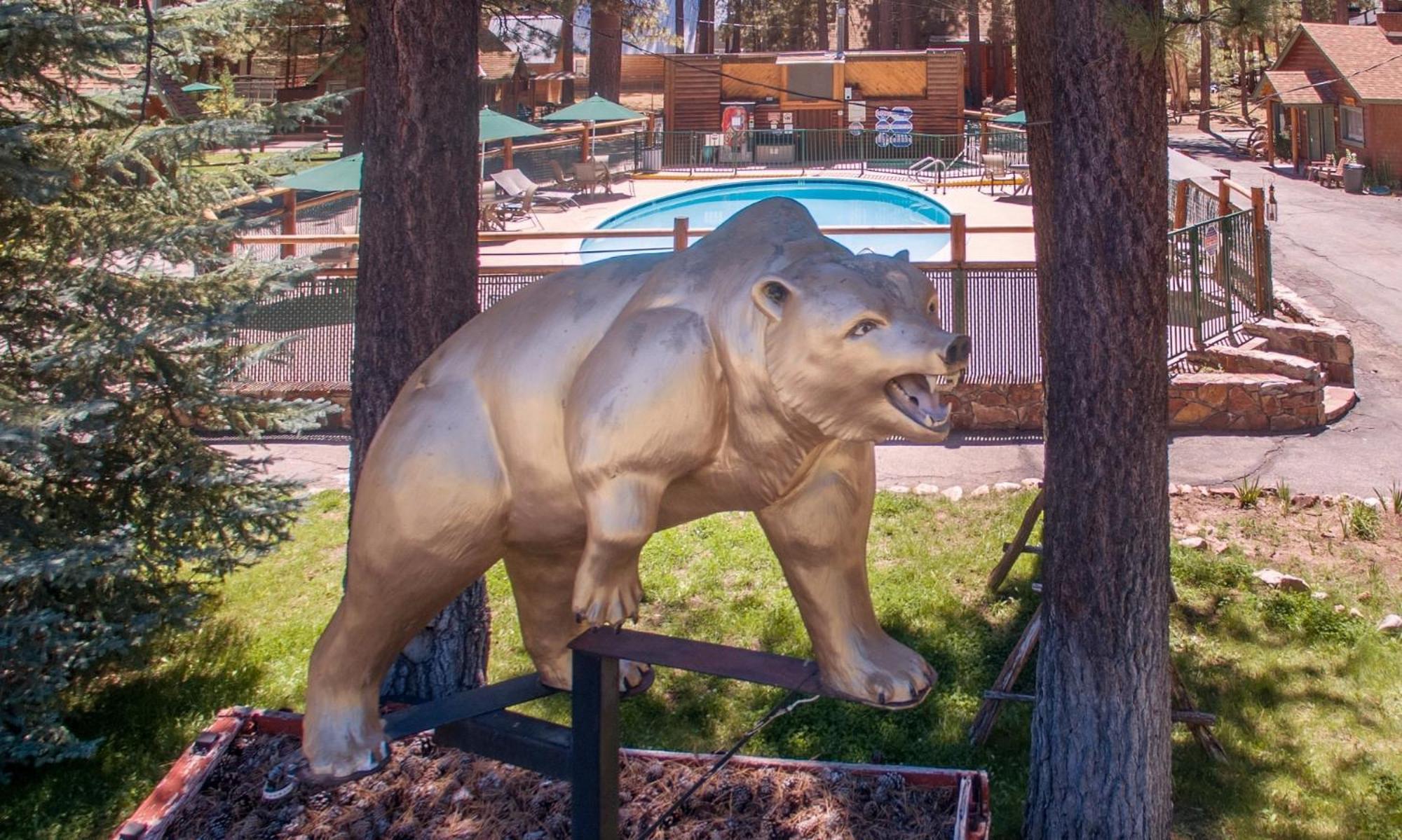 Golden Bear Cottages