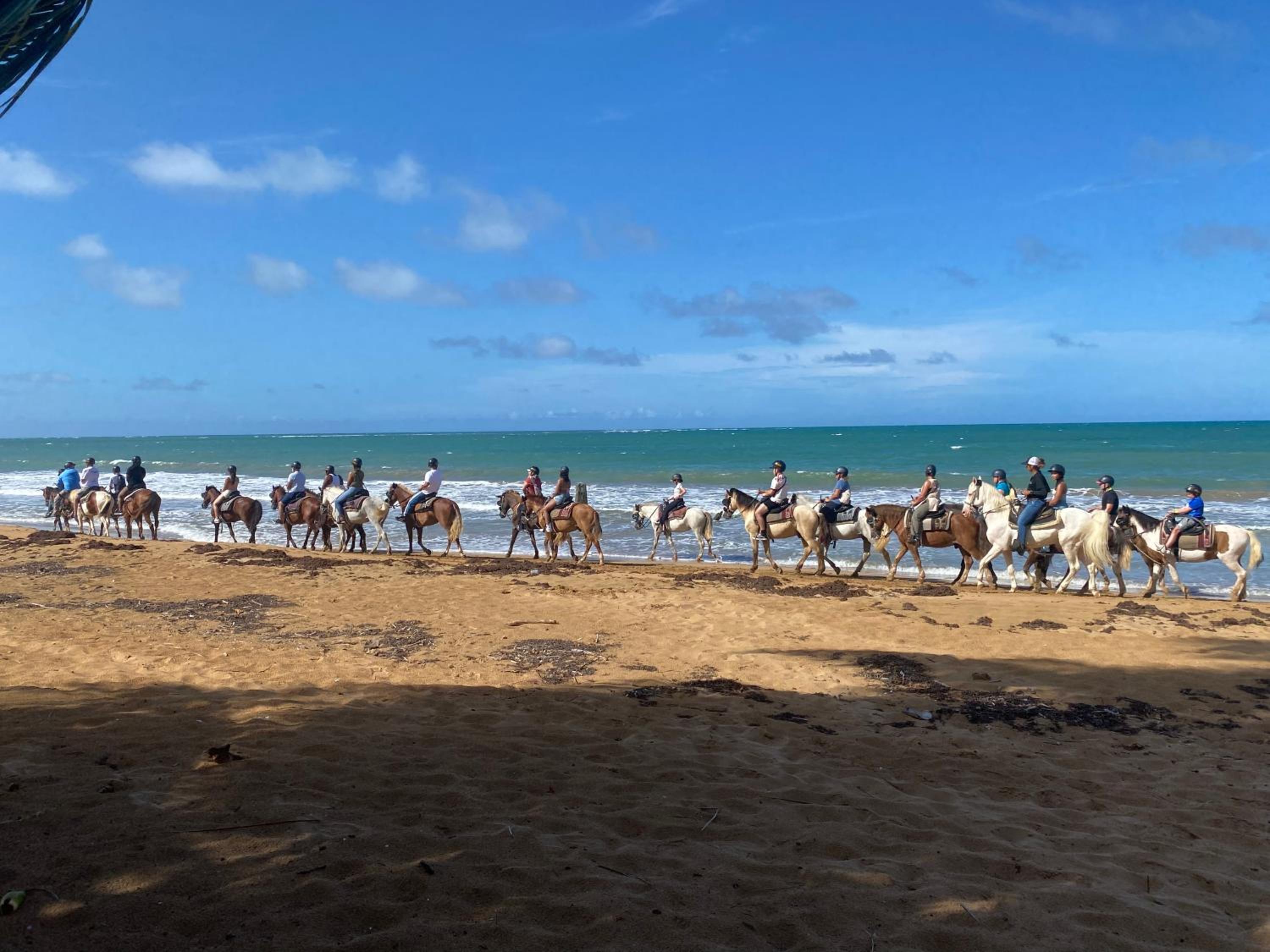 Photo 25