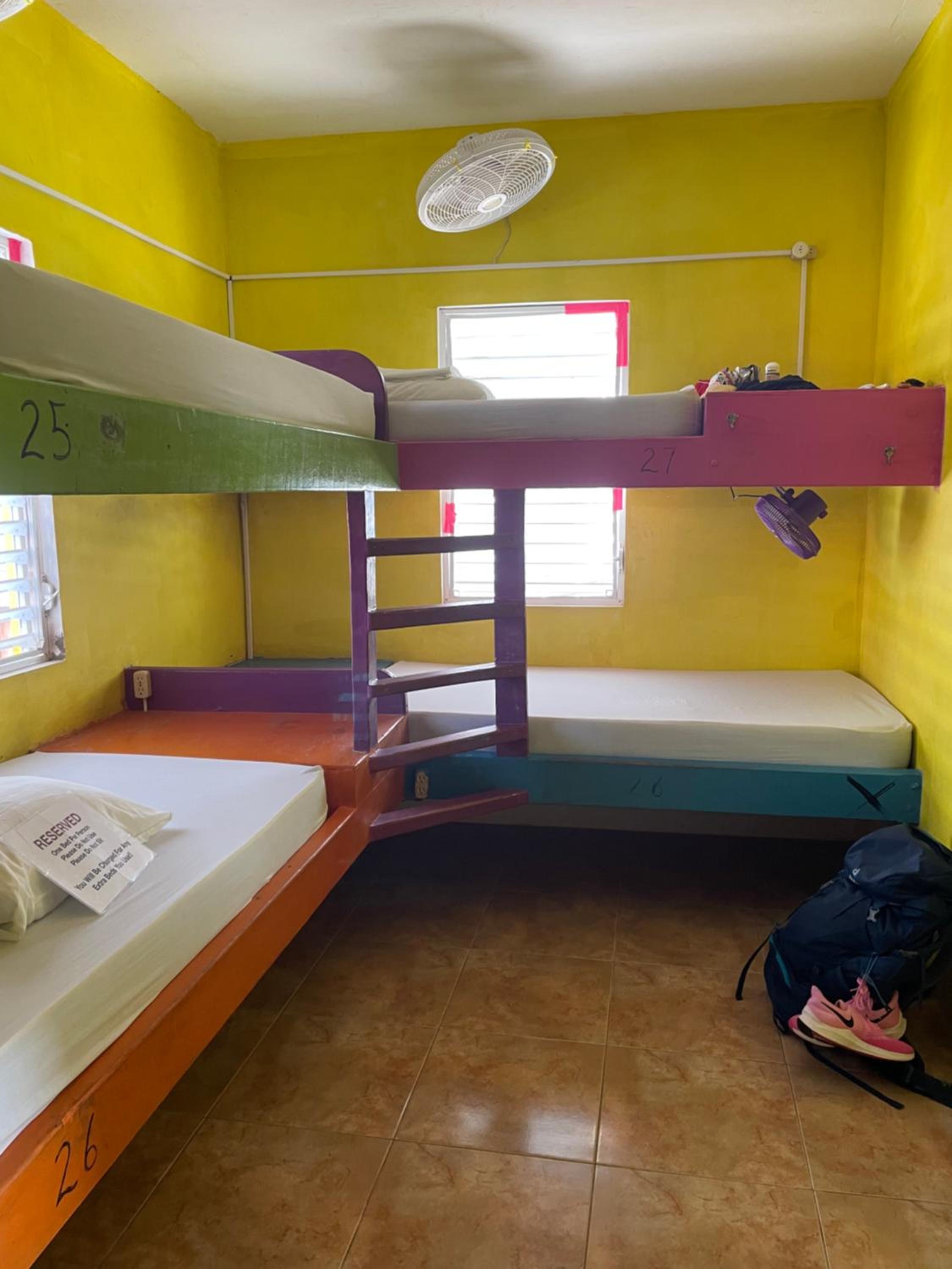 Travellers Palm Backpackers