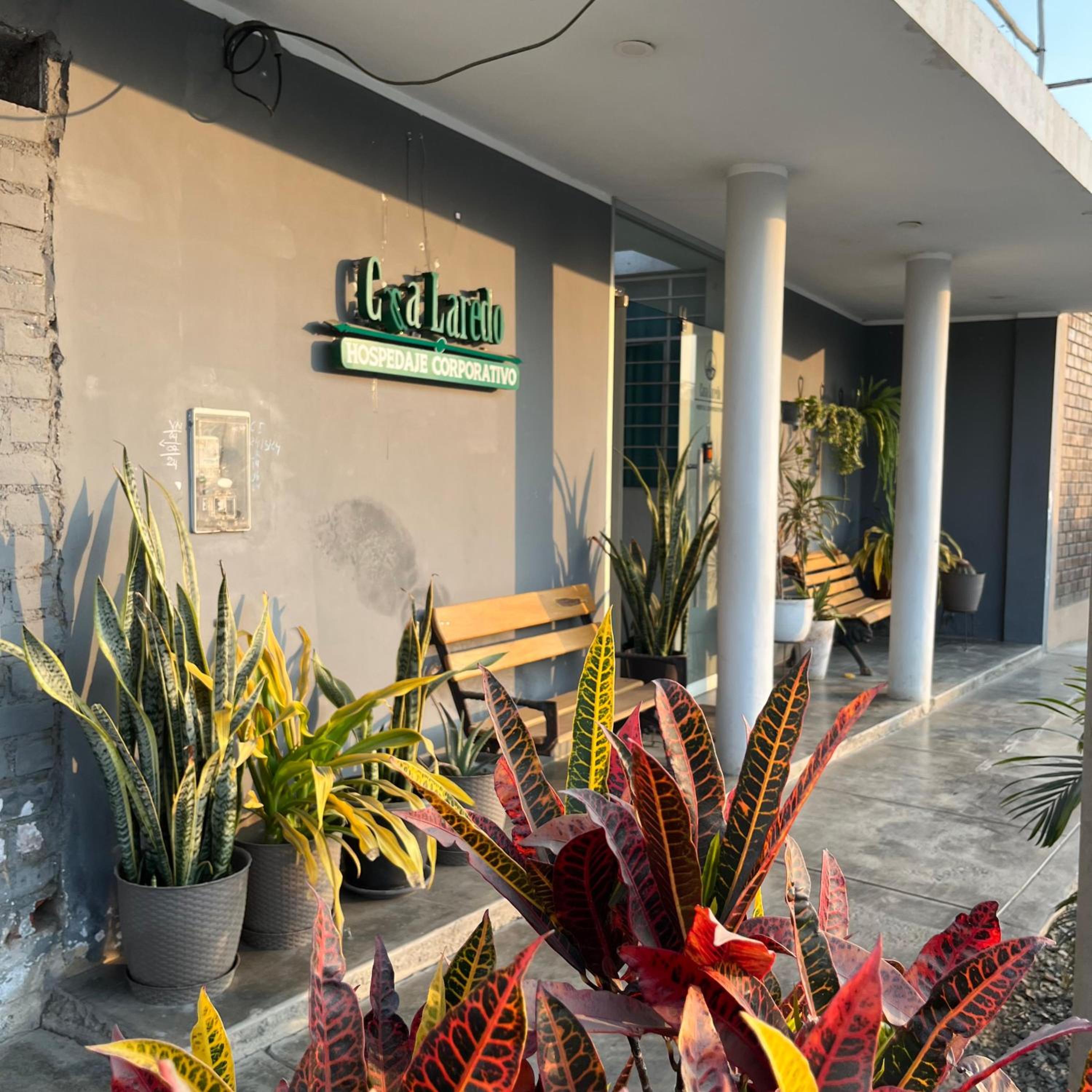 recepcion & lobby