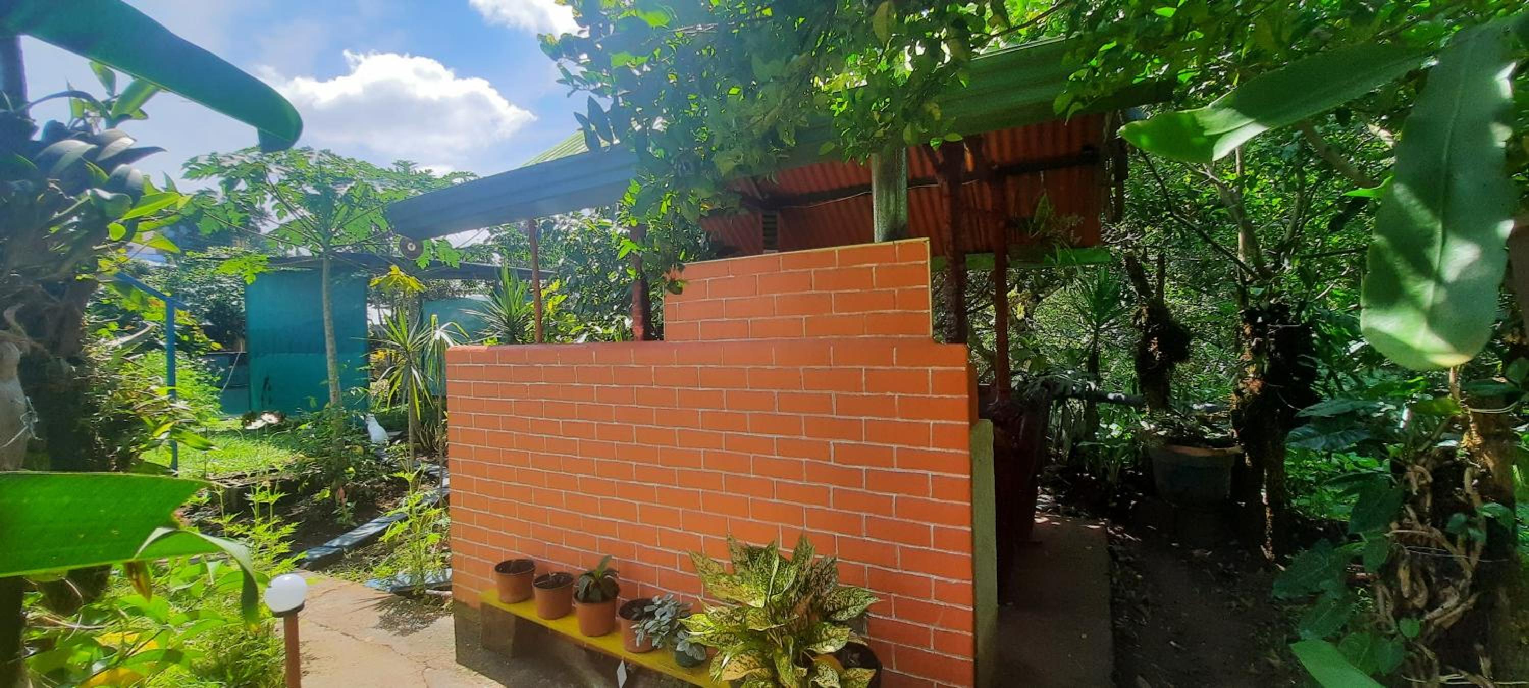 Cabaña bosque verde
