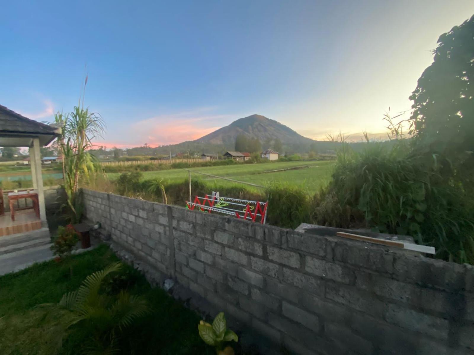 Mount Batur Homestay