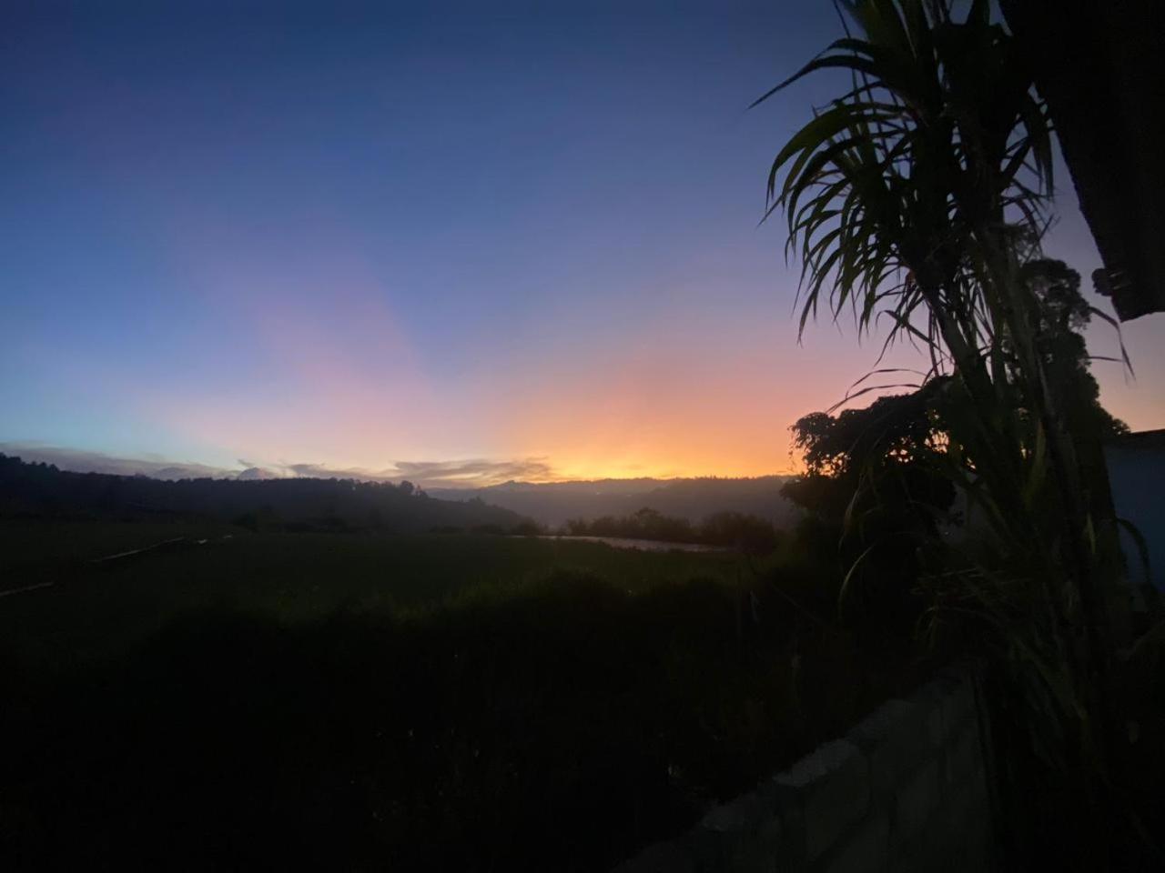 Mount Batur Homestay
