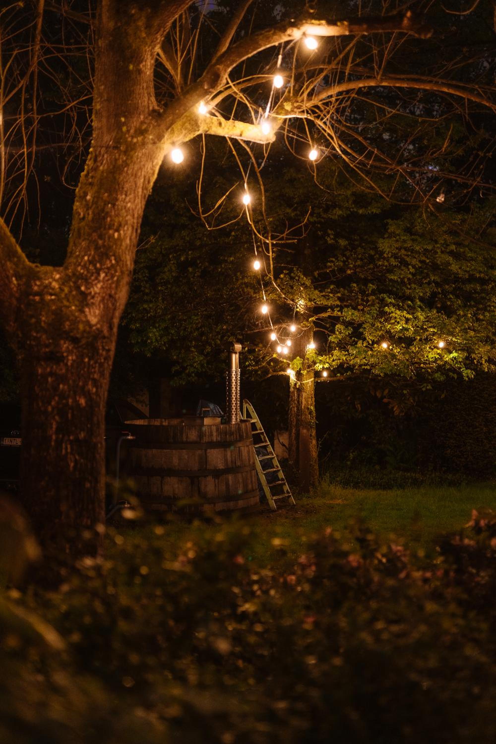 La Petite Foret Cottage in Brussels Countryside