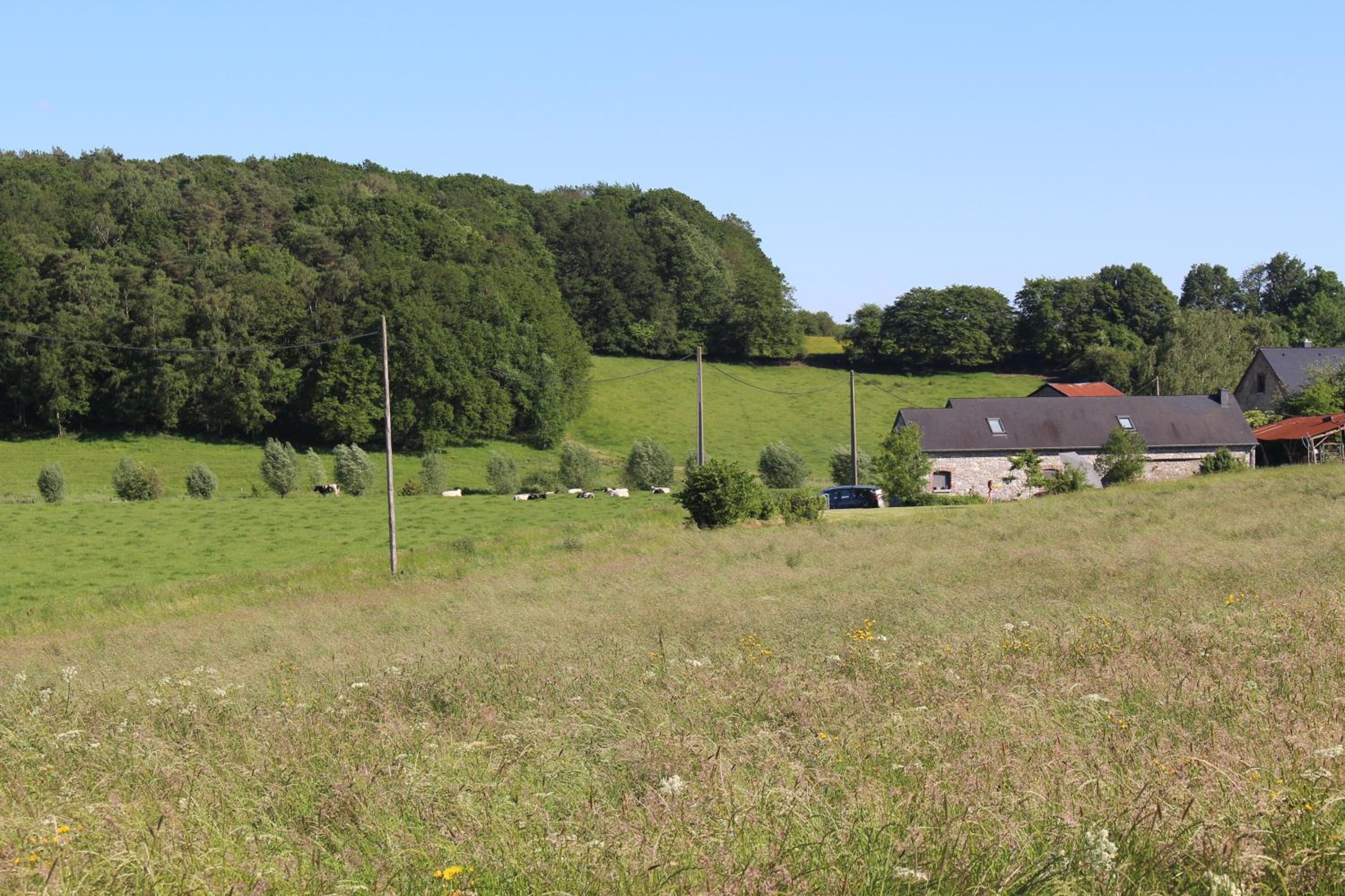 Gite de Baive