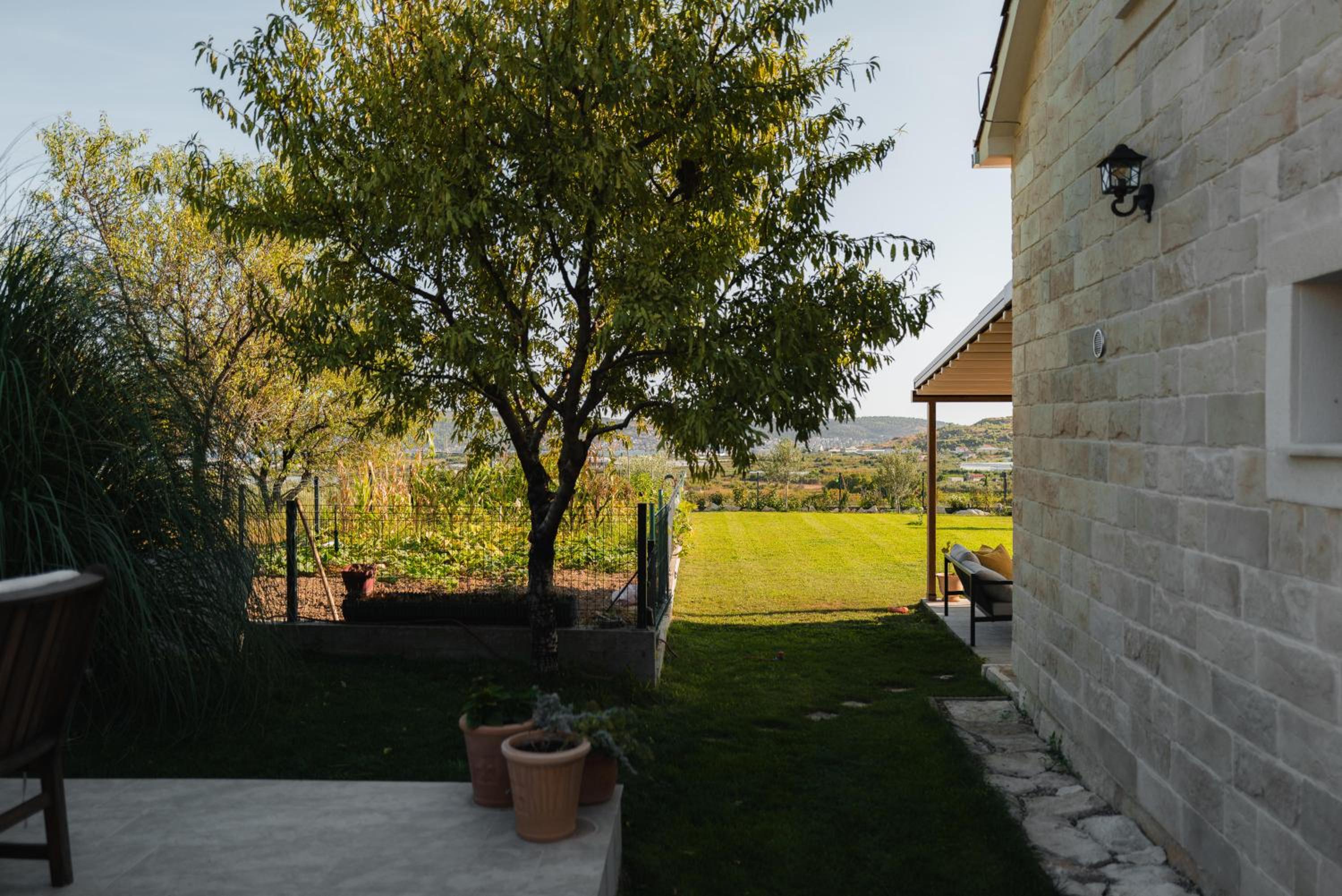 Photo 46