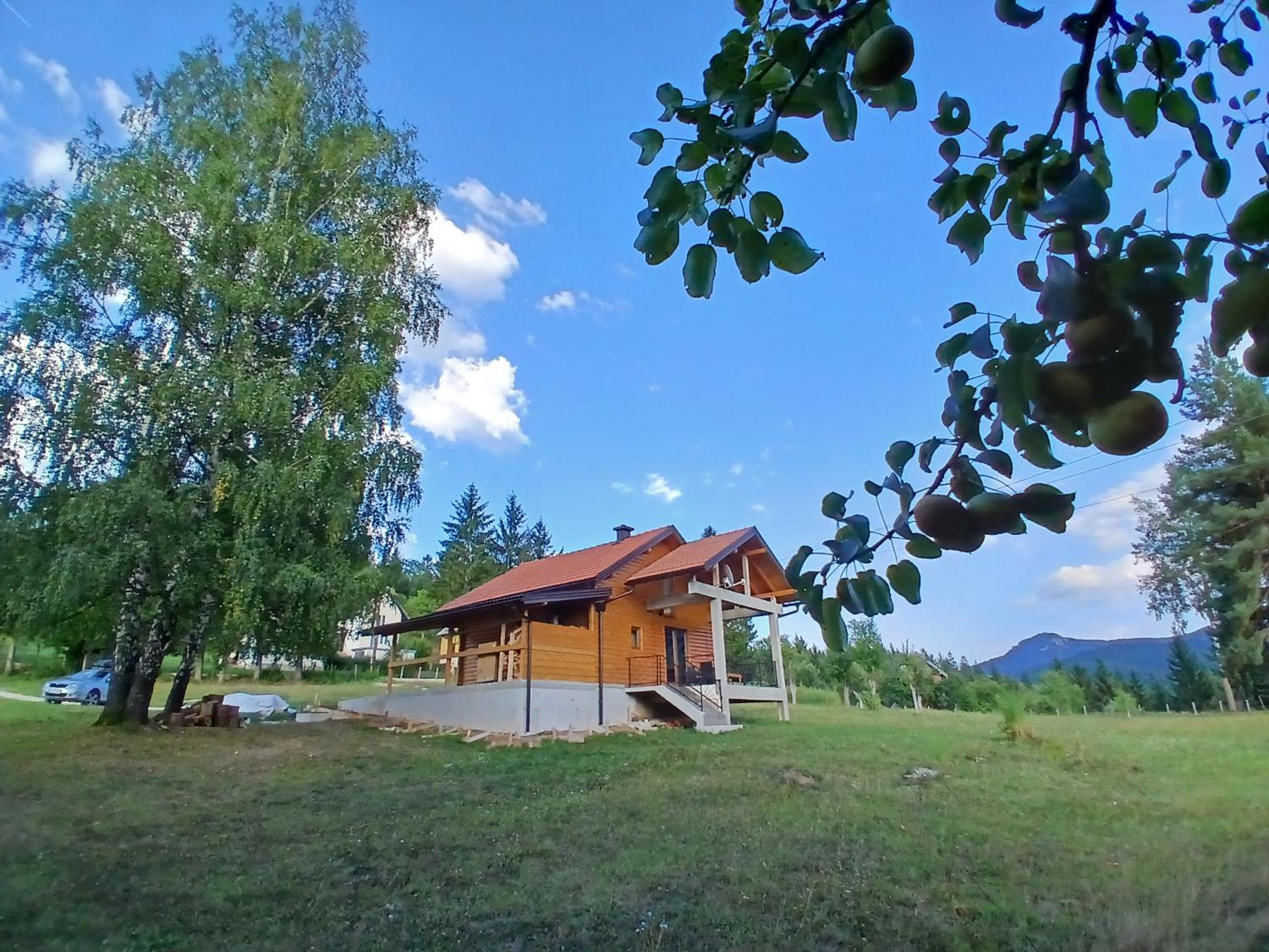 Brvnara Vidra