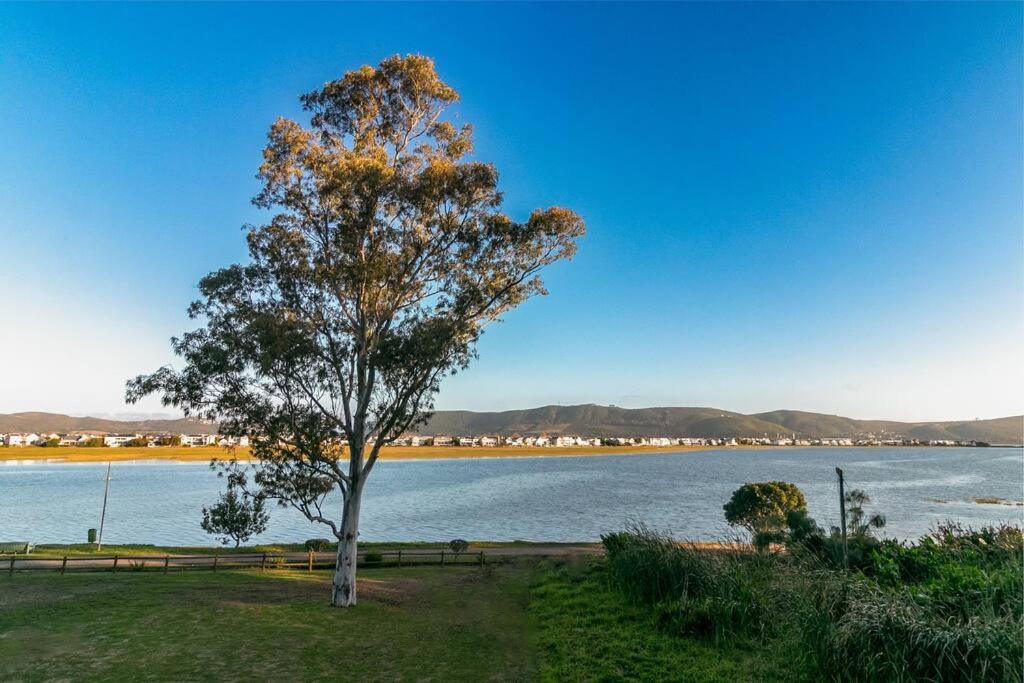 Knysna Tsukamori