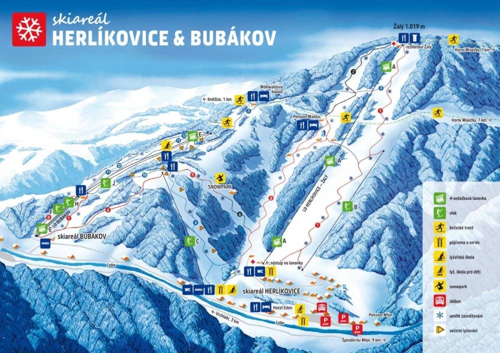 Apartmán Borůvka u vleku Bubákov Herlíkovice