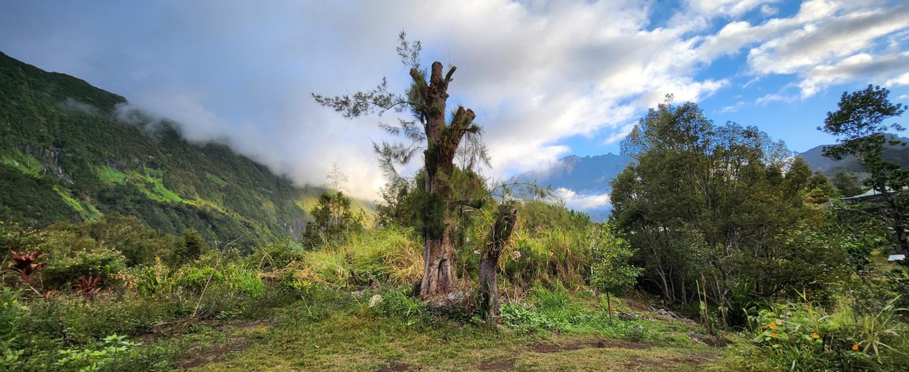 other