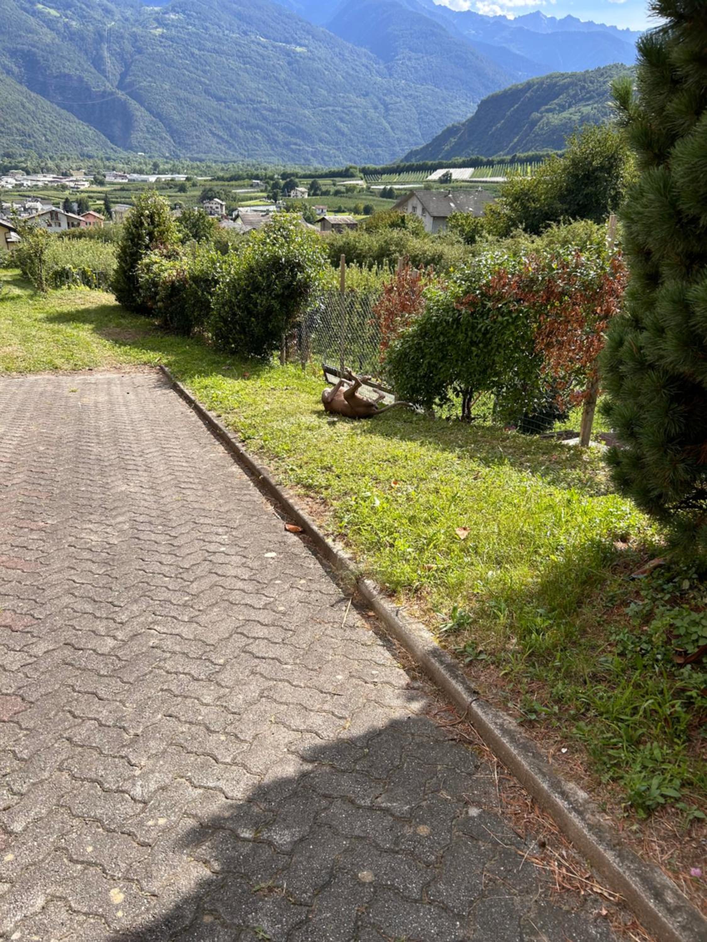 Valtellinda