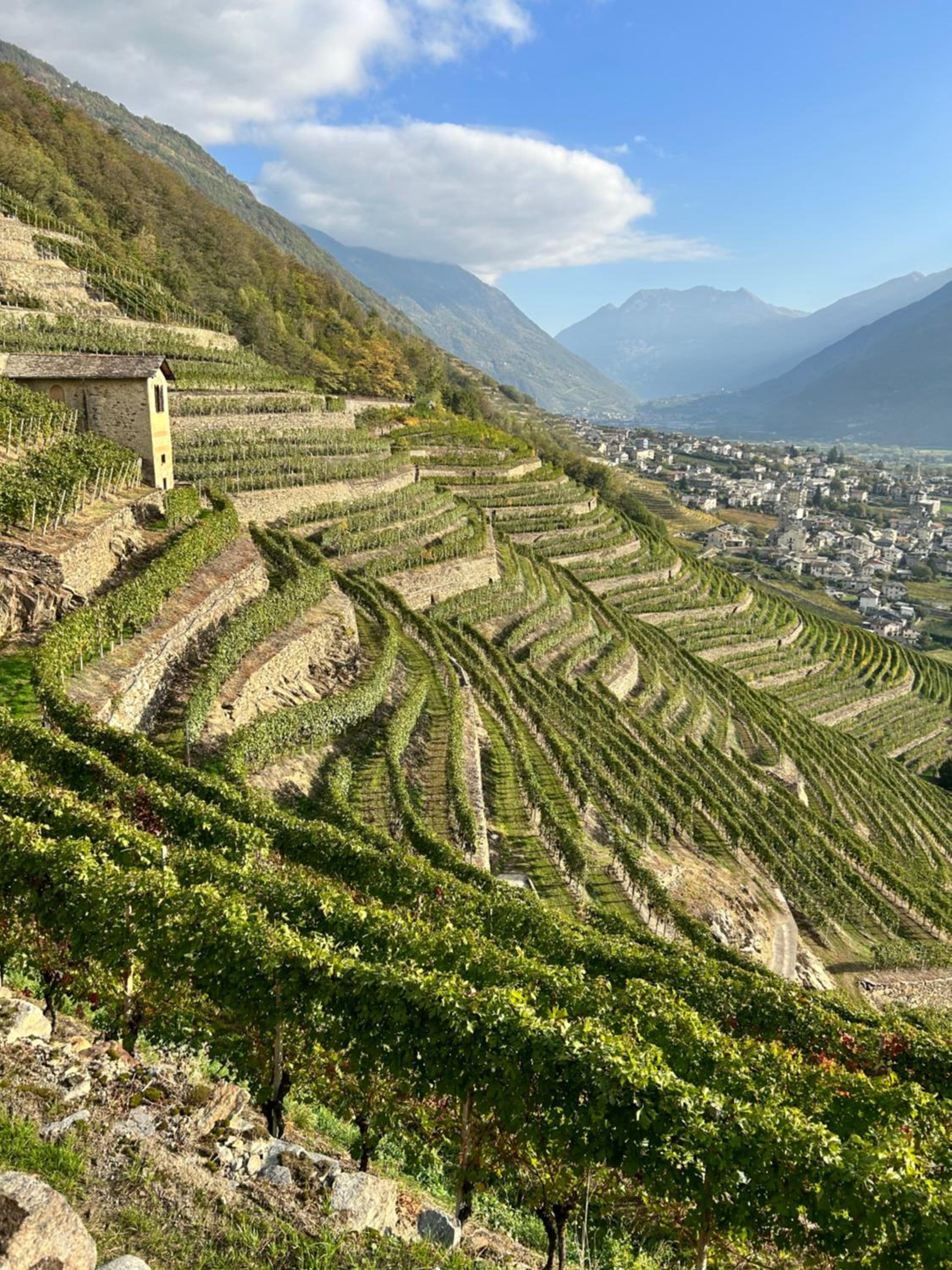 Valtellinda