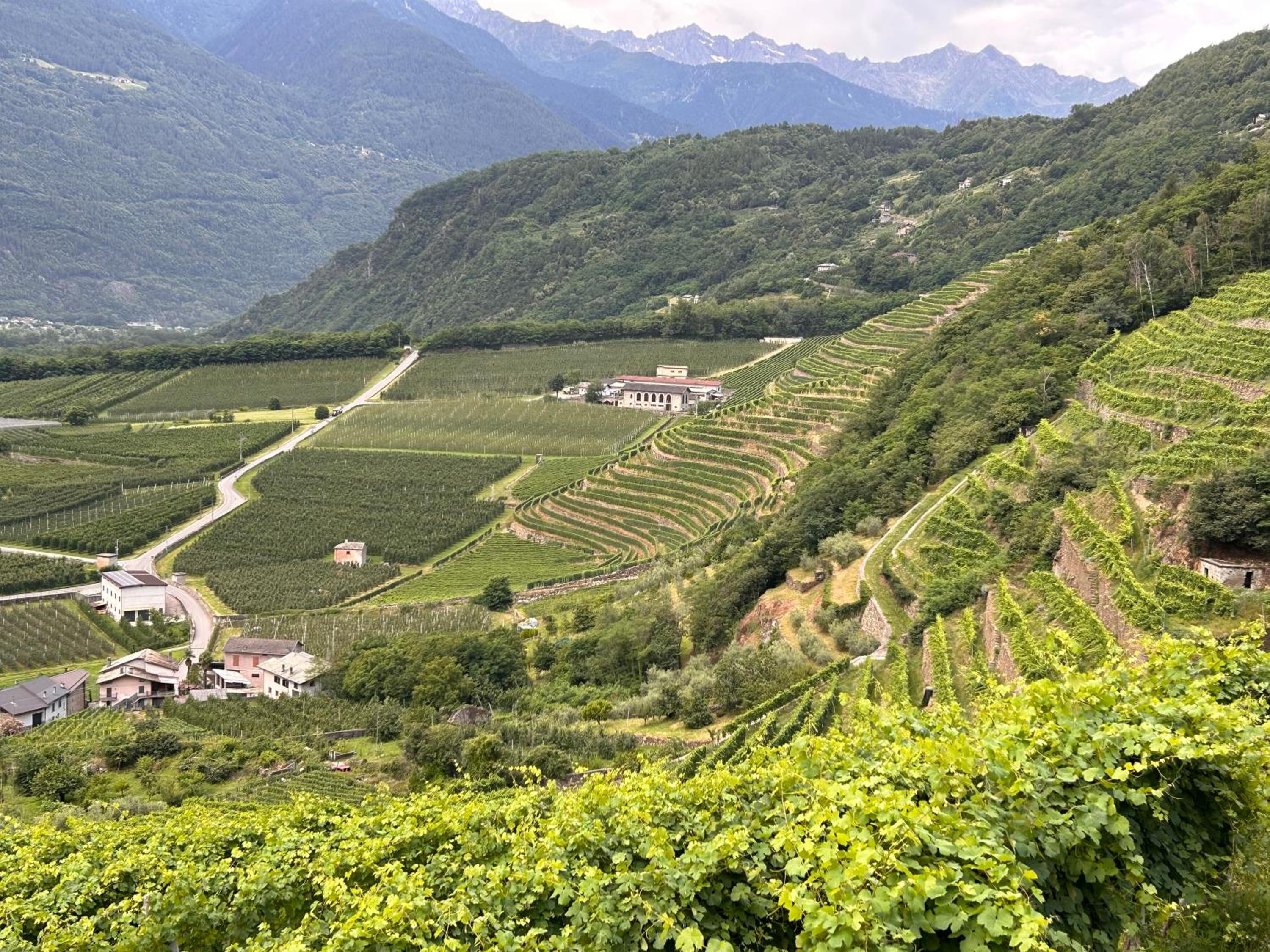 Valtellinda