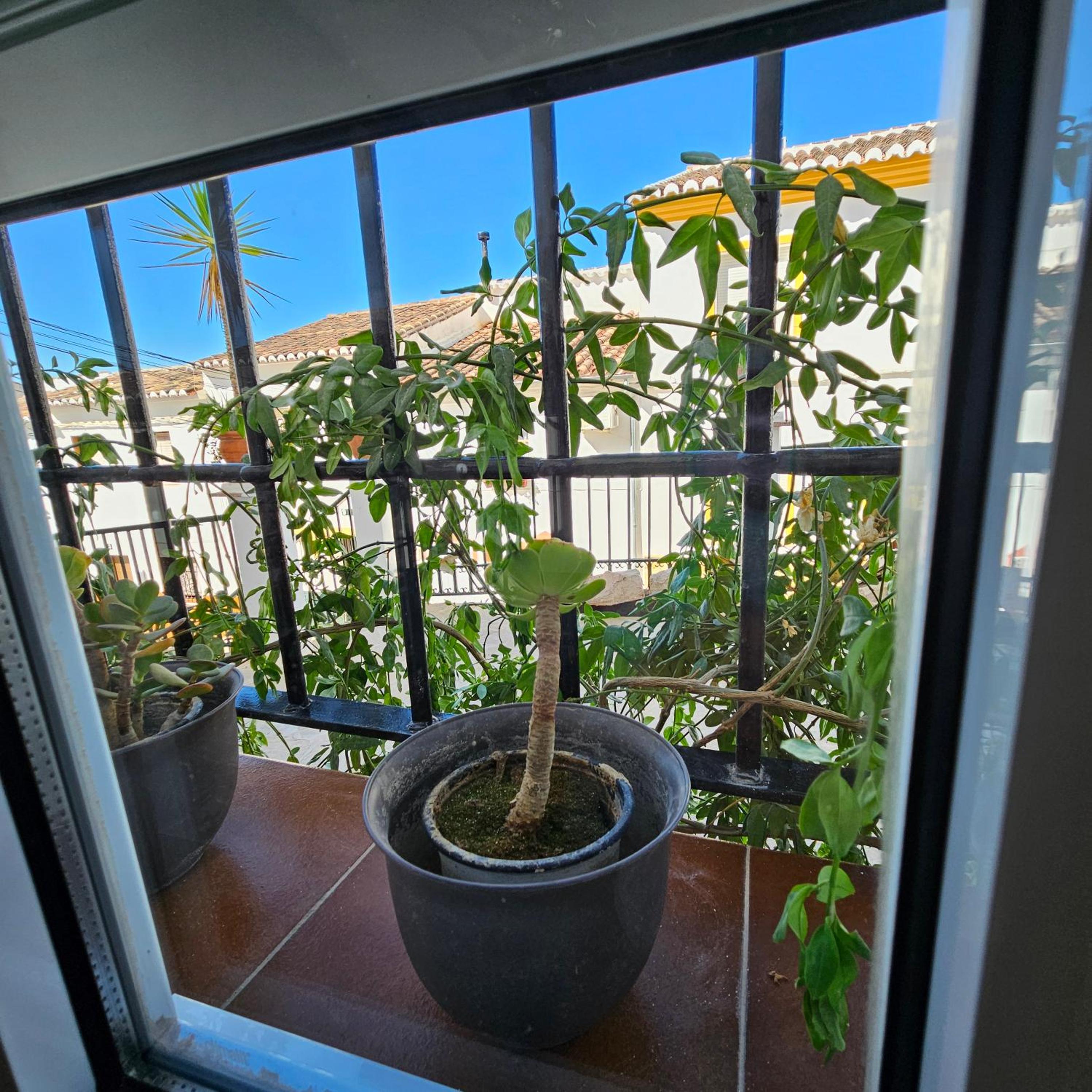 CASA DON DIEGO view 4