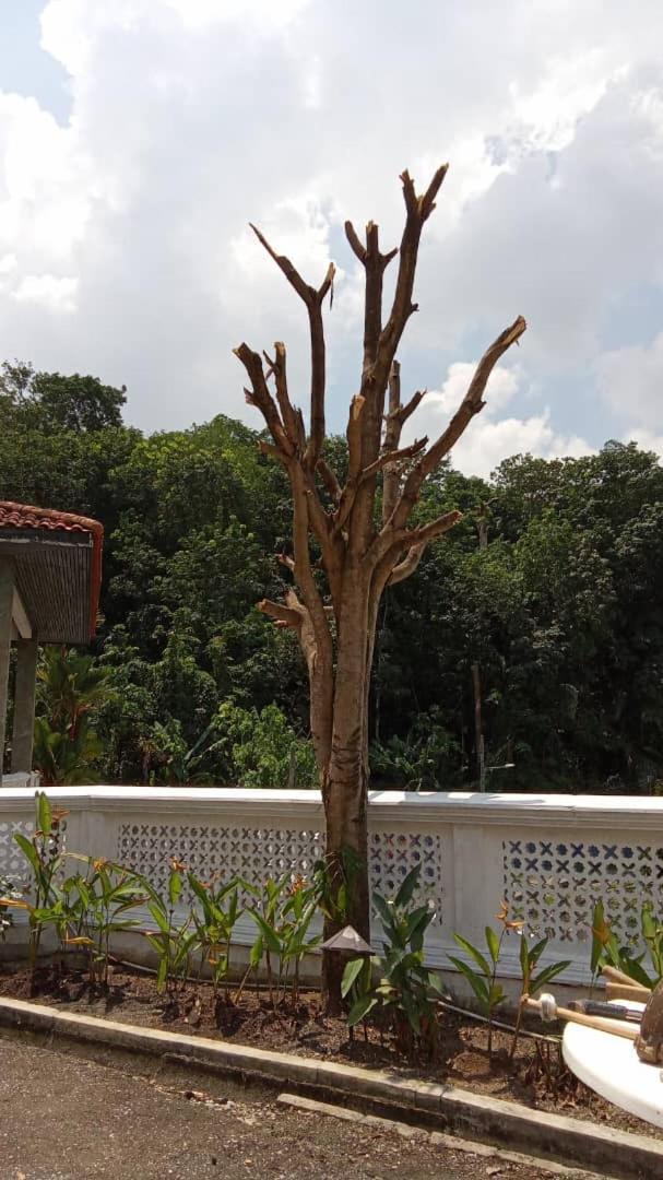 Bukit Gasing Retreat