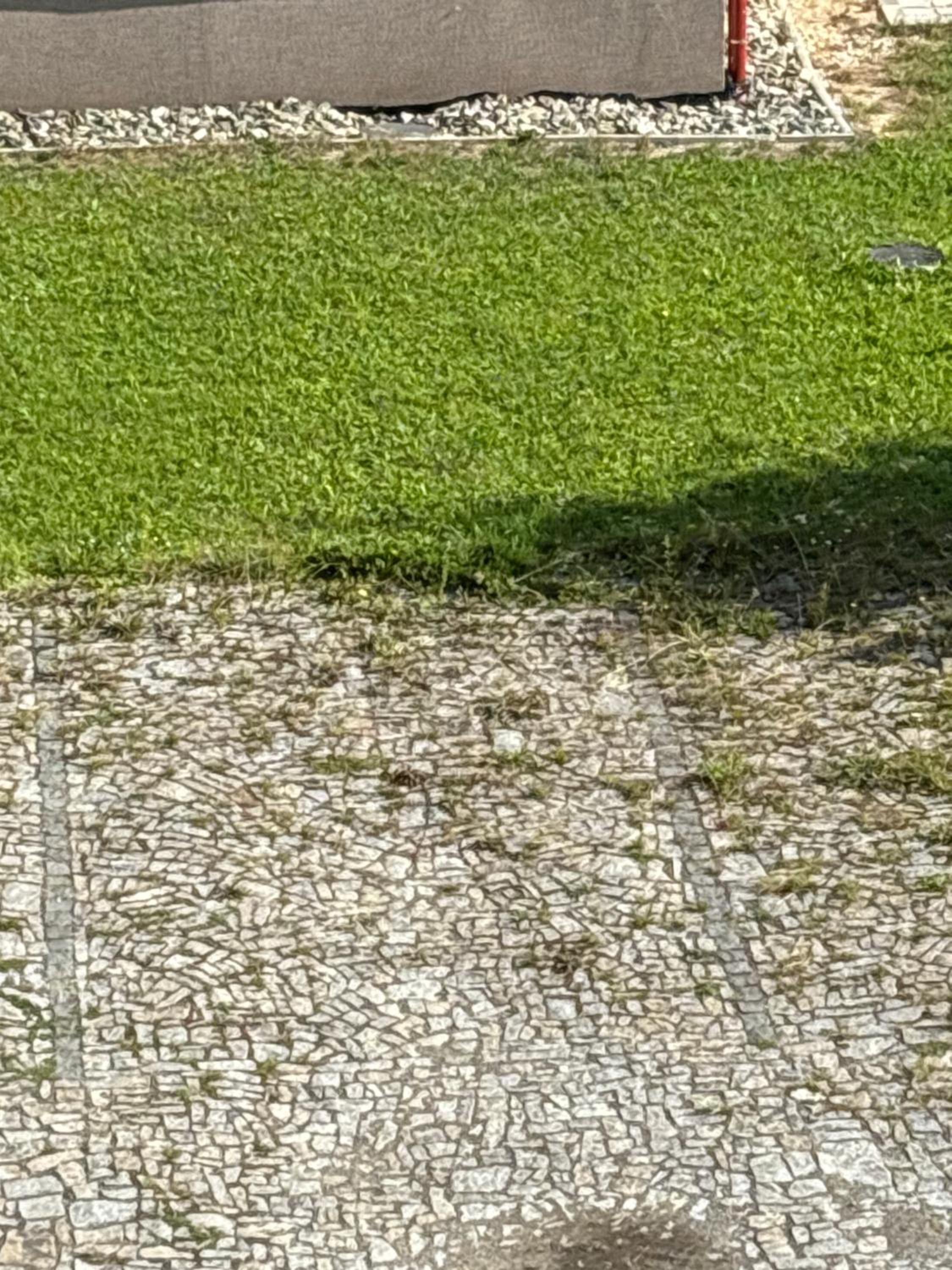 Apartmán Kvapil Lipová-lázně