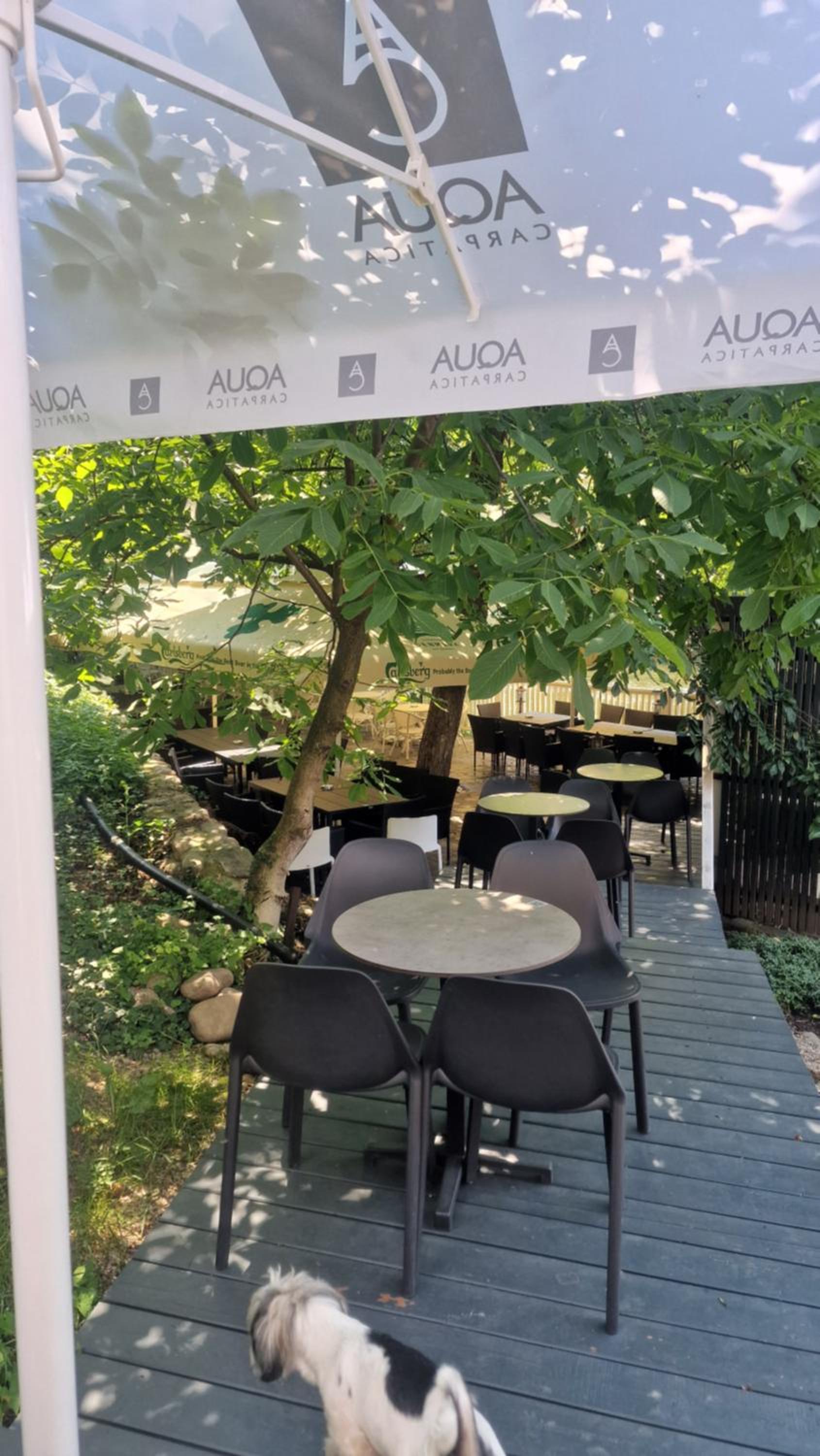 Pensiunea Casa Dimitrios-Baile Herculane -Casă Boemă cu vedere la munte apă atmosferă intimă
