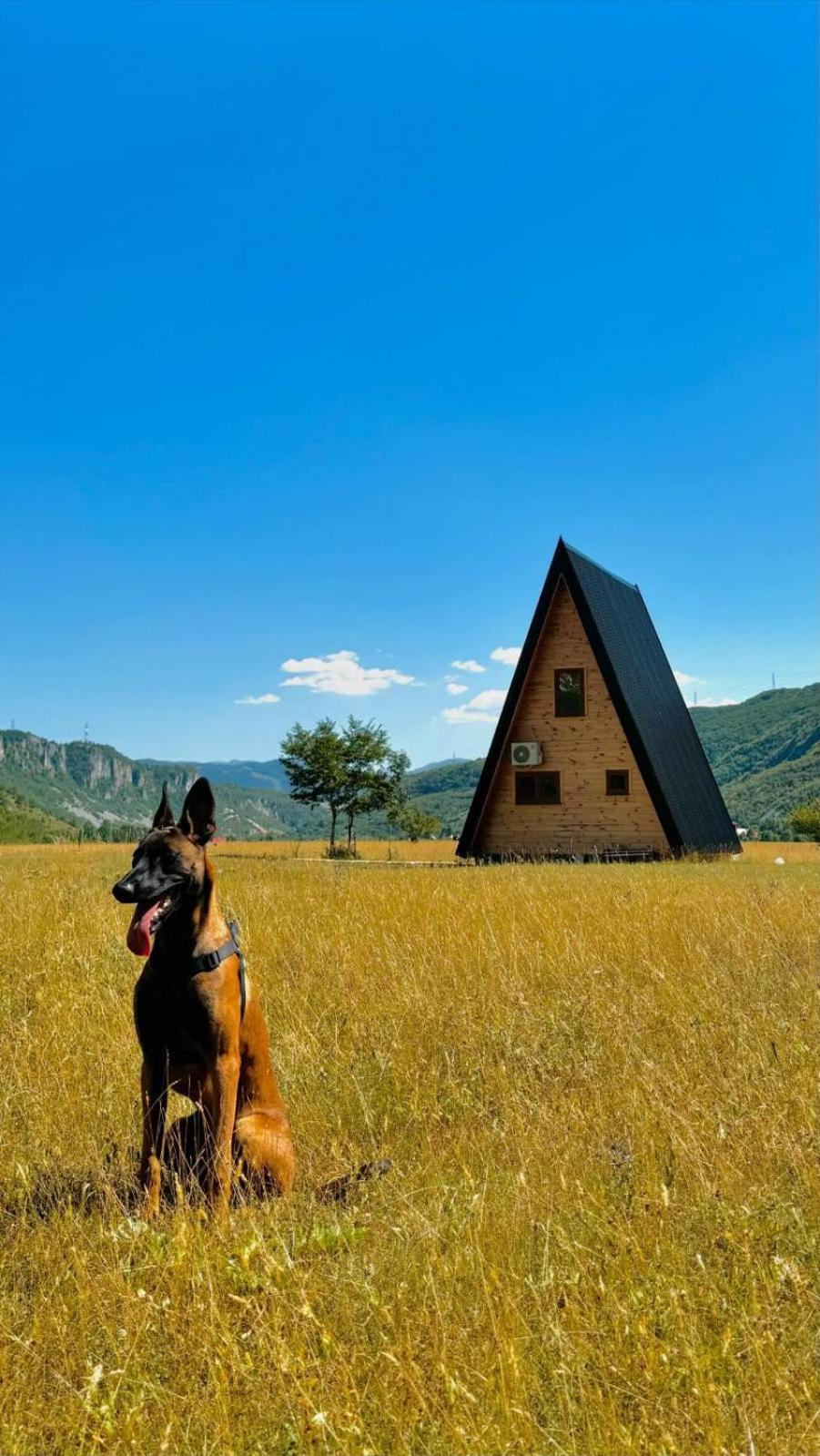 Silence House view 2