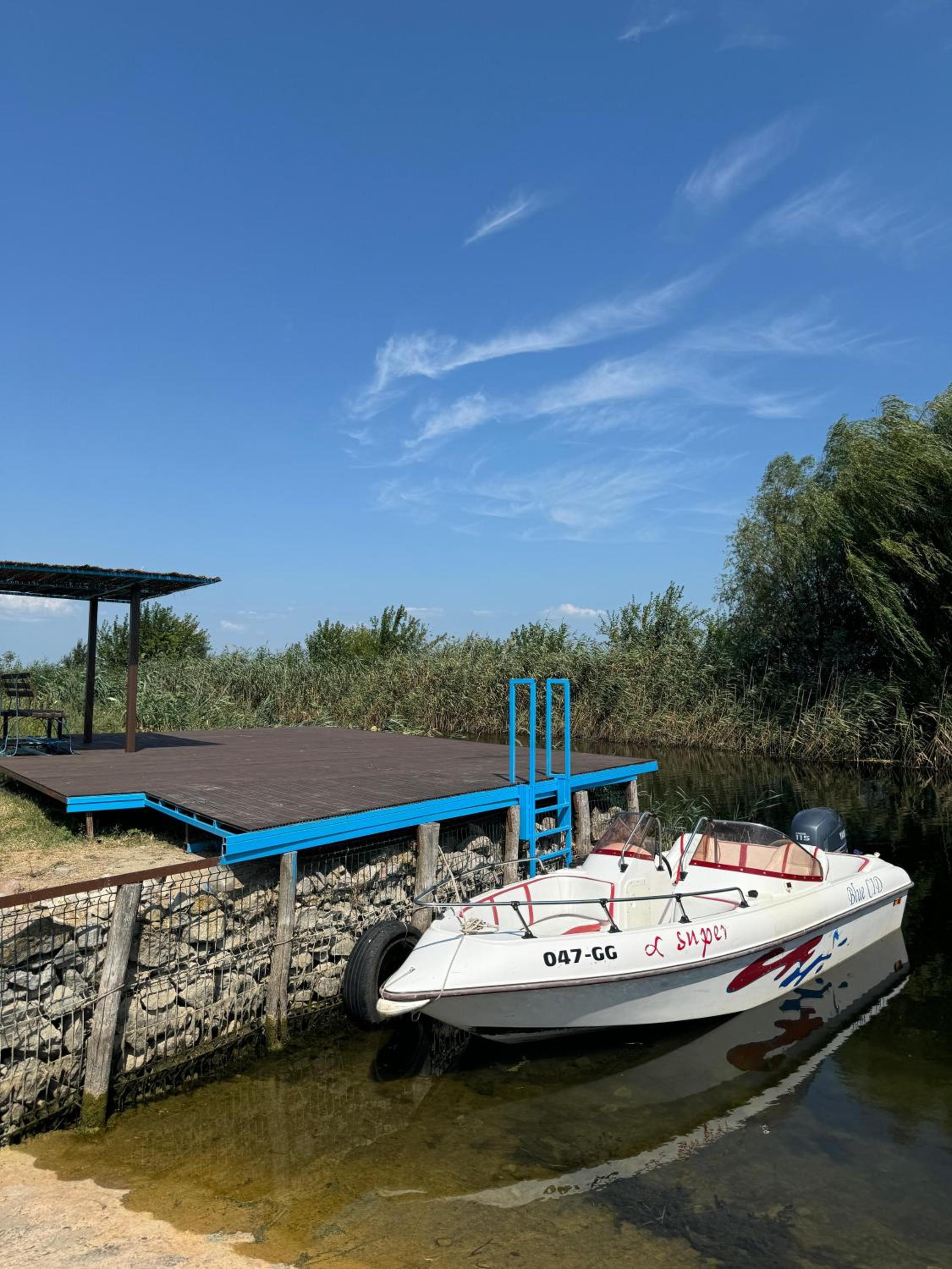Danube Delta View