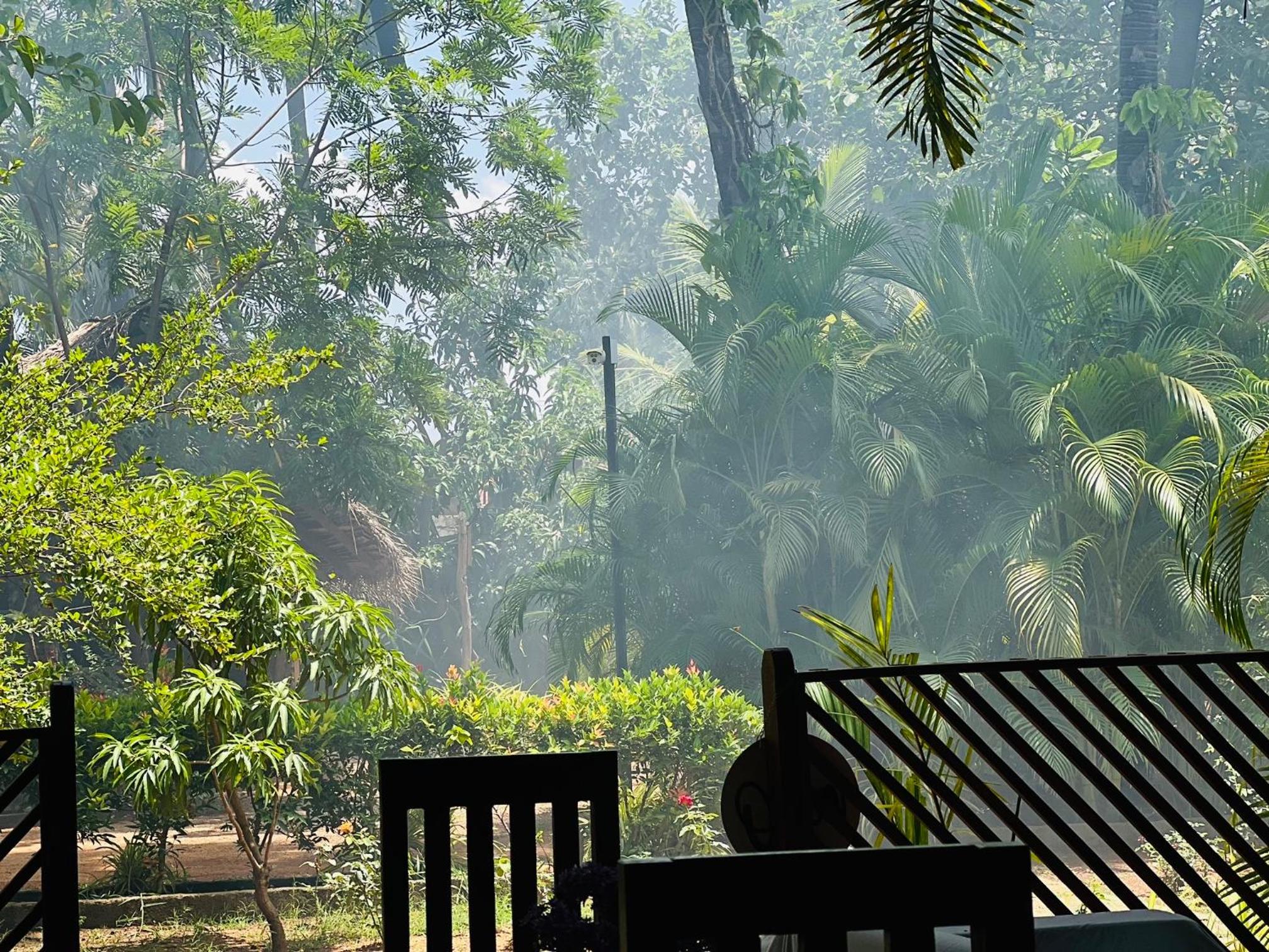 Sasvi Cabana, photo 71