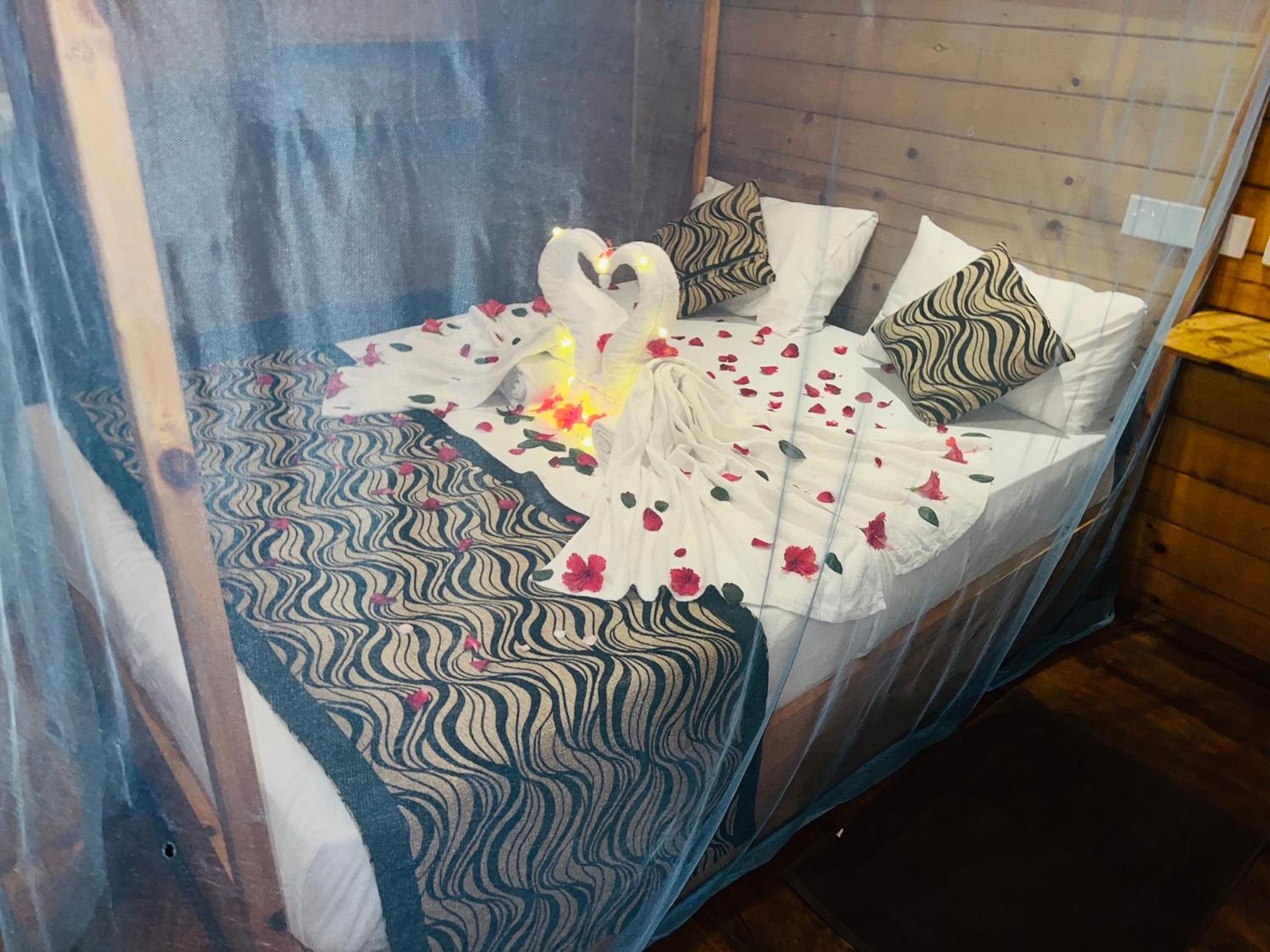 Sasvi Cabana, photo 26