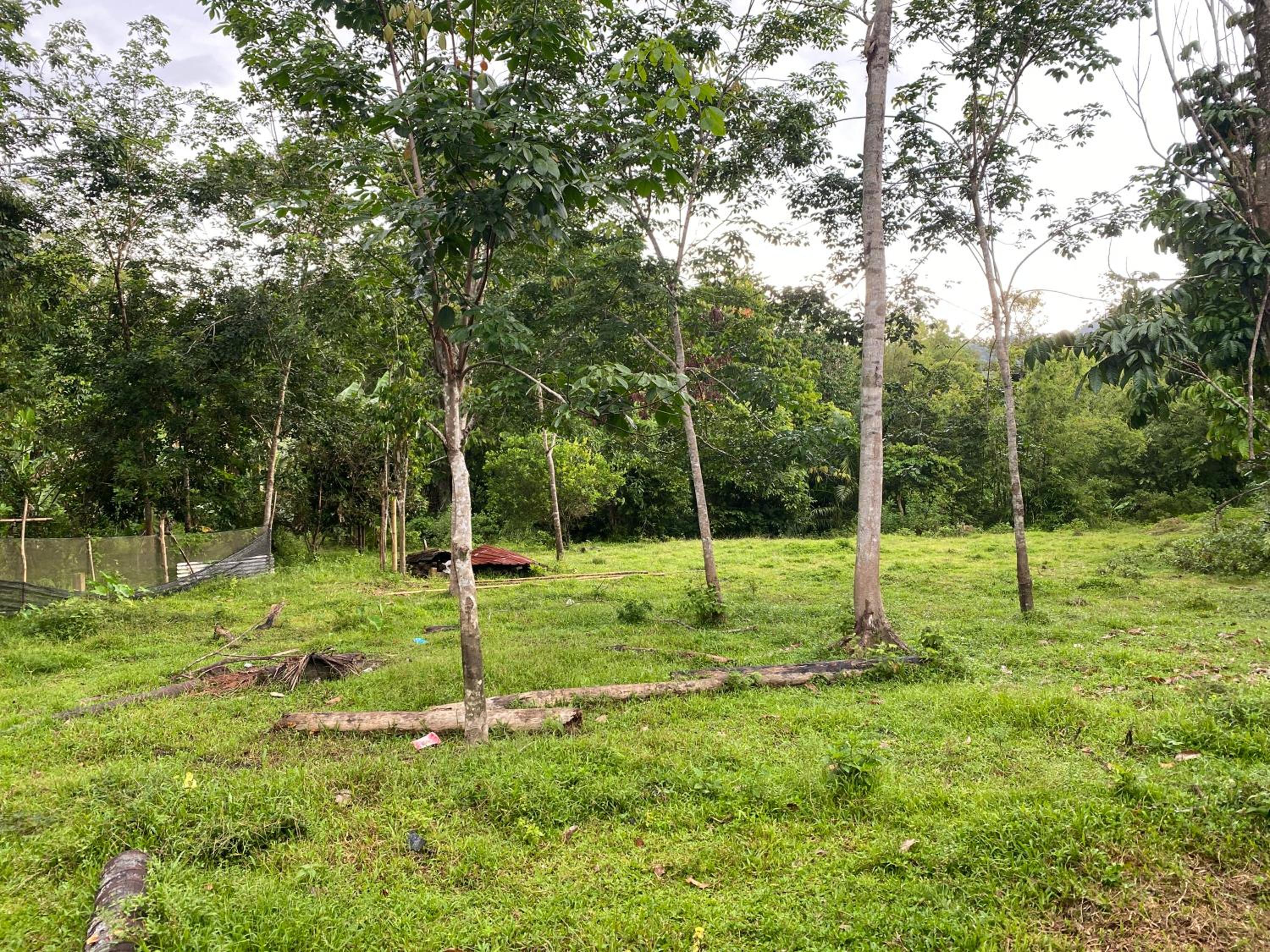 Homestay Kak soh 2 at Kampung Kalai Jeli Kelantan photo 2