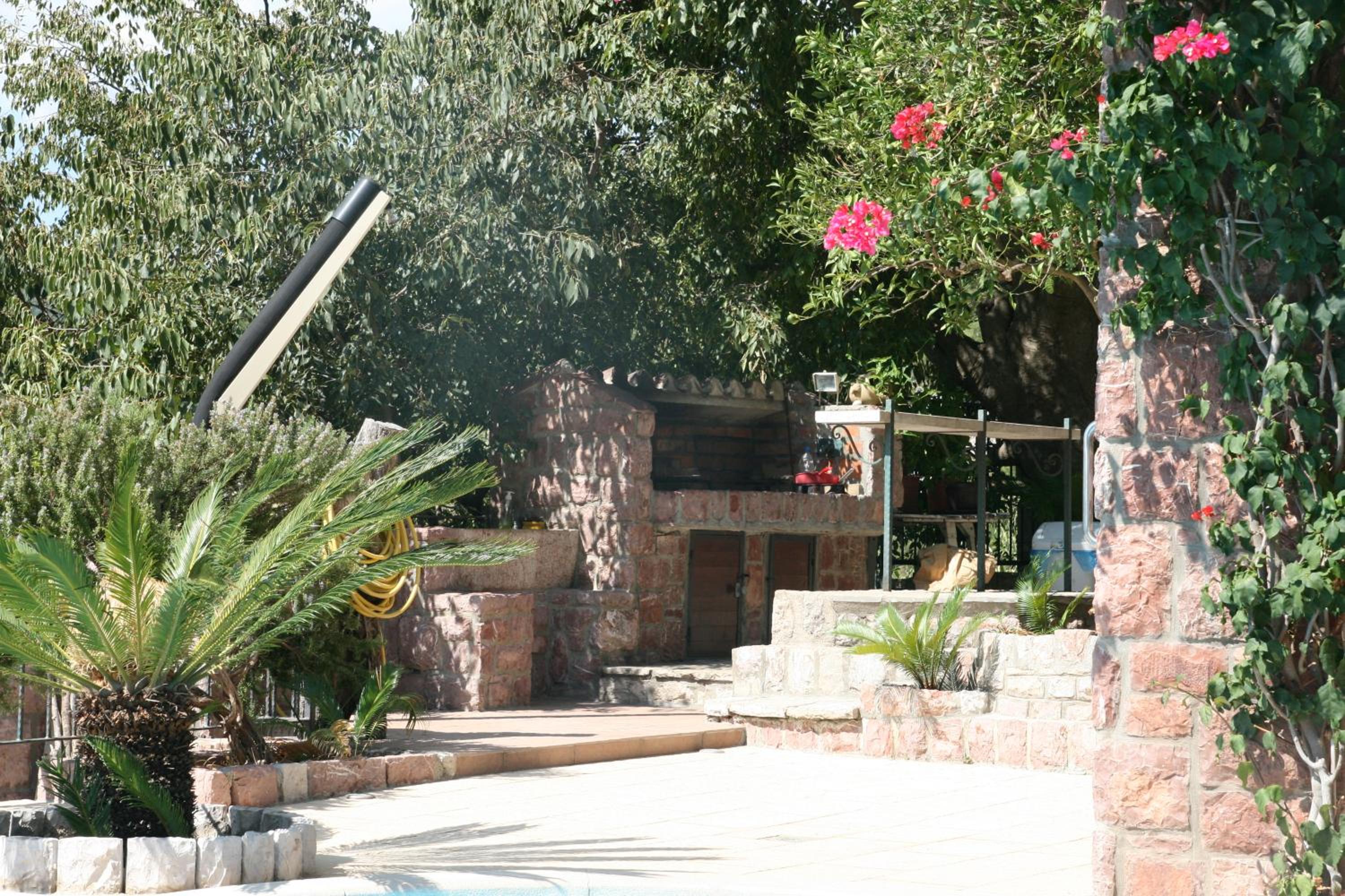 Photo 43