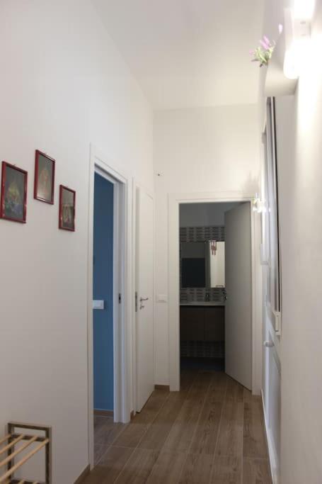 Zia Pina Home