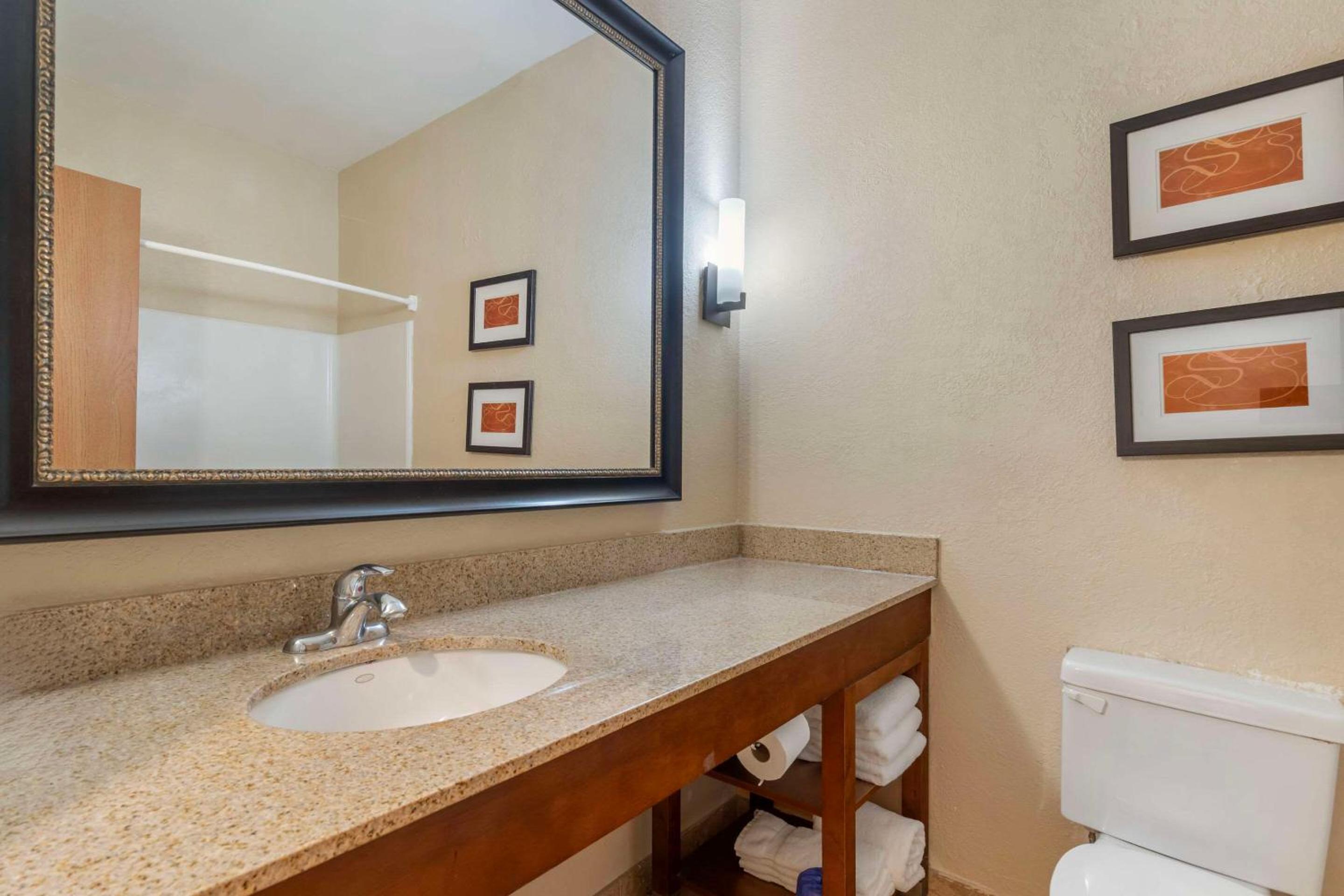 Comfort Suites McKinney-Allen - Property Image 35
