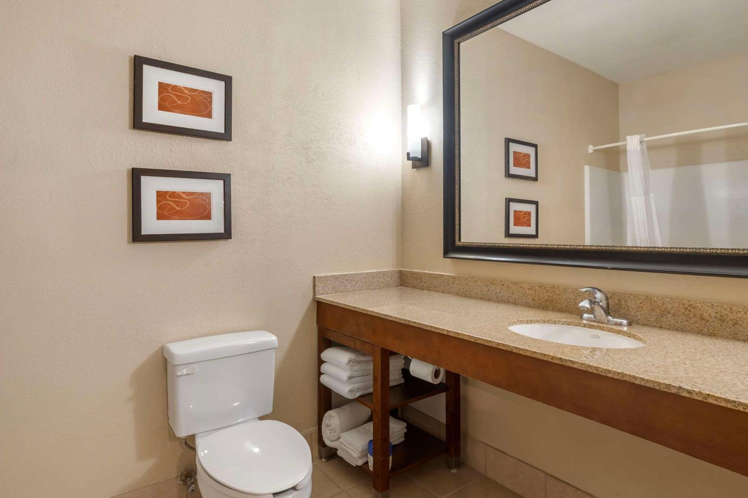 Comfort Suites McKinney-Allen - Property Image 2