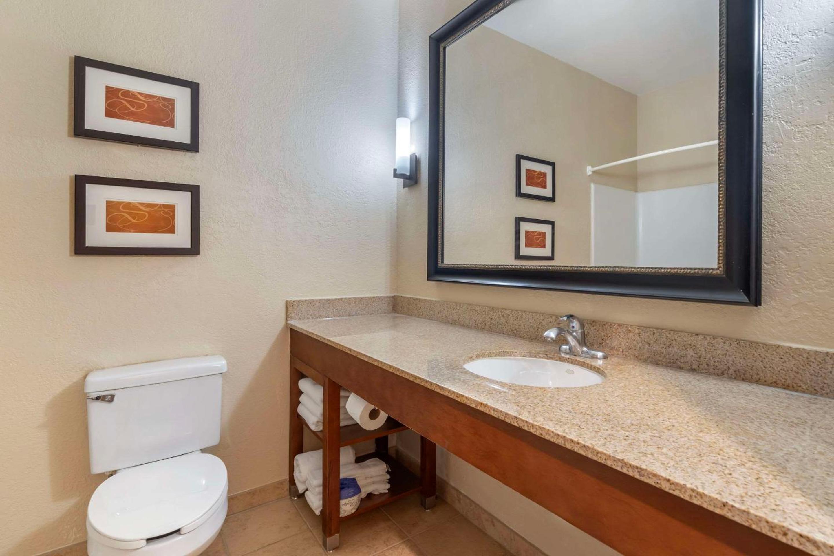 Comfort Suites McKinney-Allen - Property Image 4