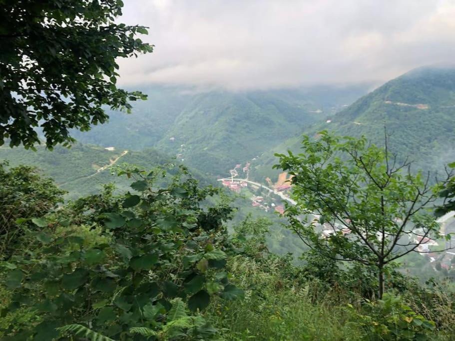 Kaçış köyüne Huzurlu Adım atın! view 5
