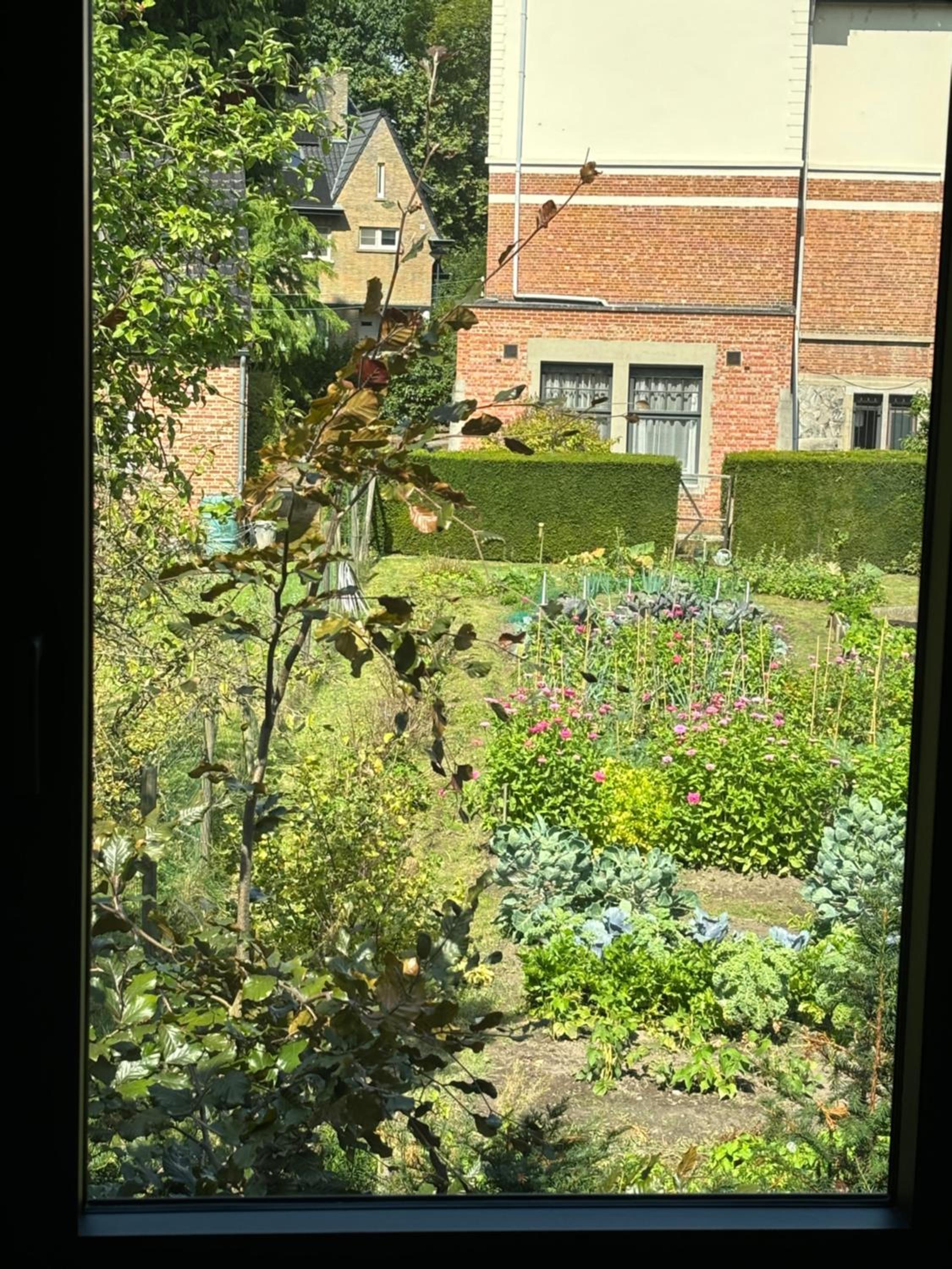 Nummer 151 villastudios