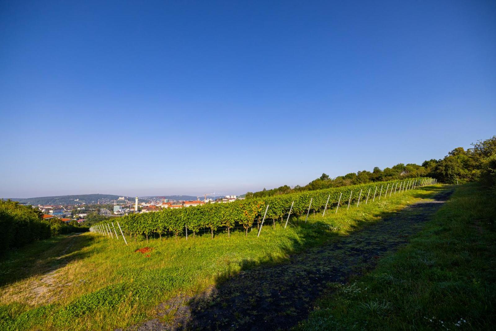 Nettes kleines Apartment mit Stellplatz