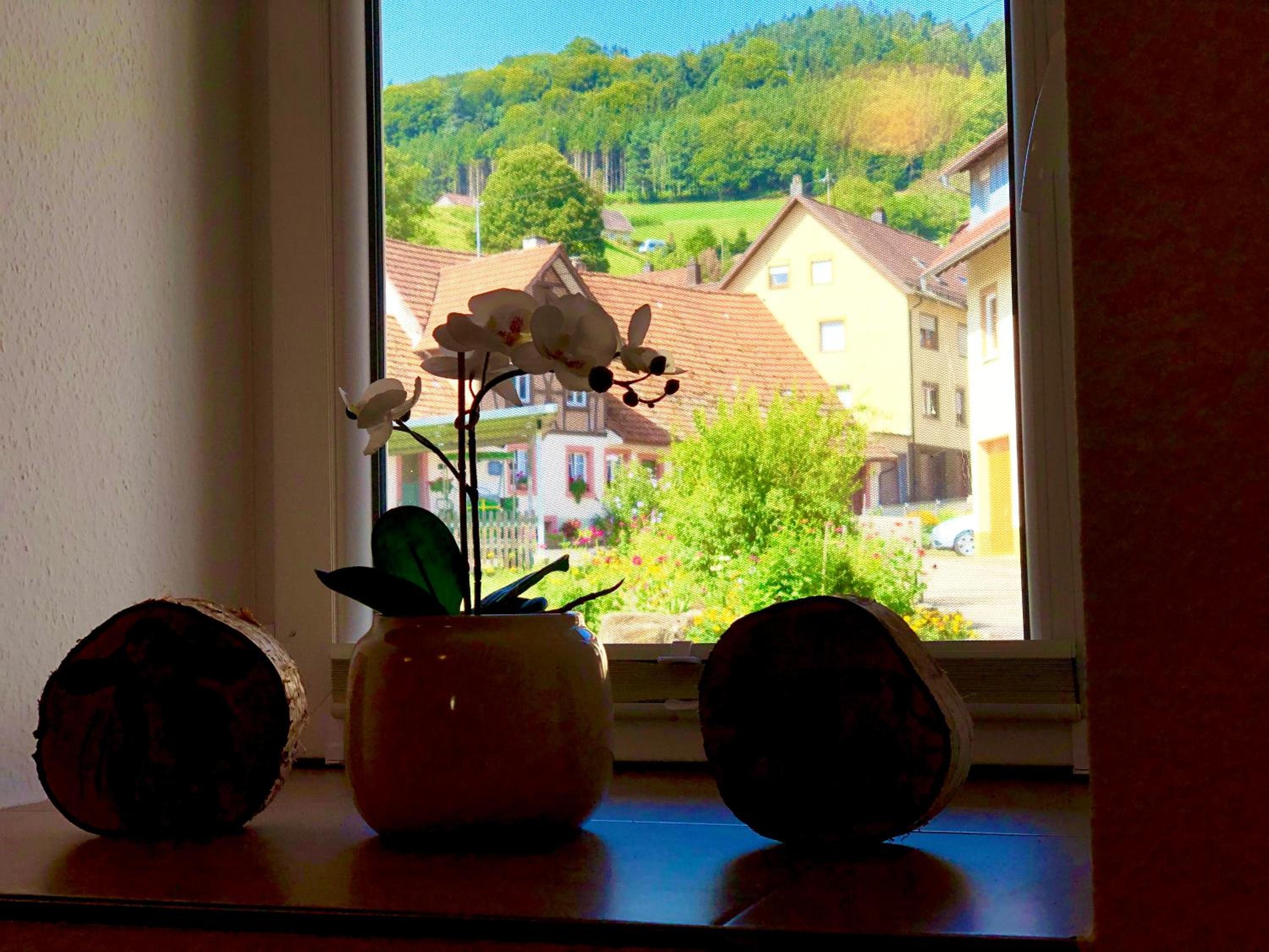 Ferien im Schwarzwald Dörlinbach