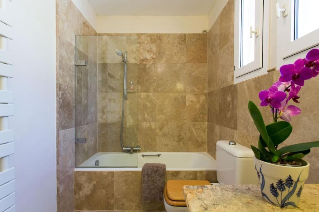 Spacious Villa Vallauris Cannes with AC throughout and large private pool