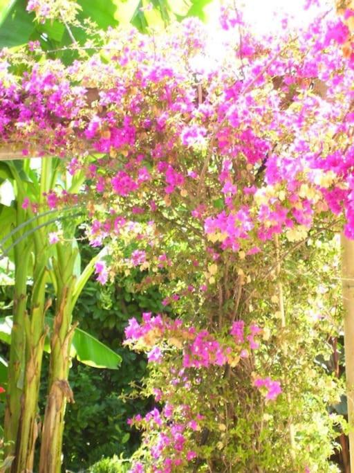 Spacious Villa Vallauris Cannes with AC throughout and large private pool