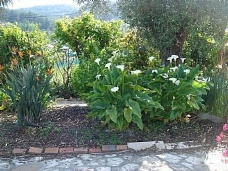 Spacious Villa Vallauris Cannes with AC throughout and large private pool