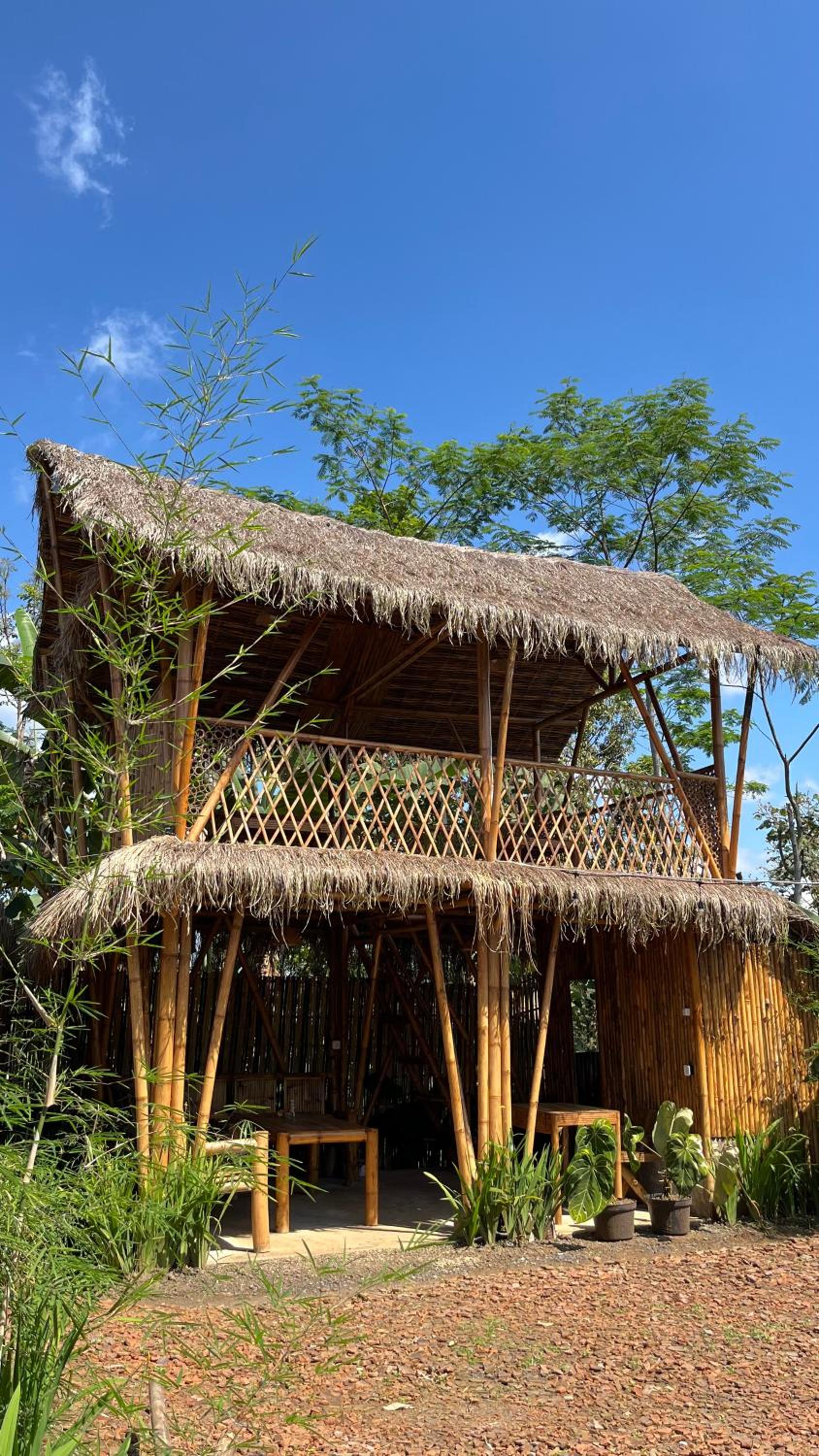 el bamboo guesthouse