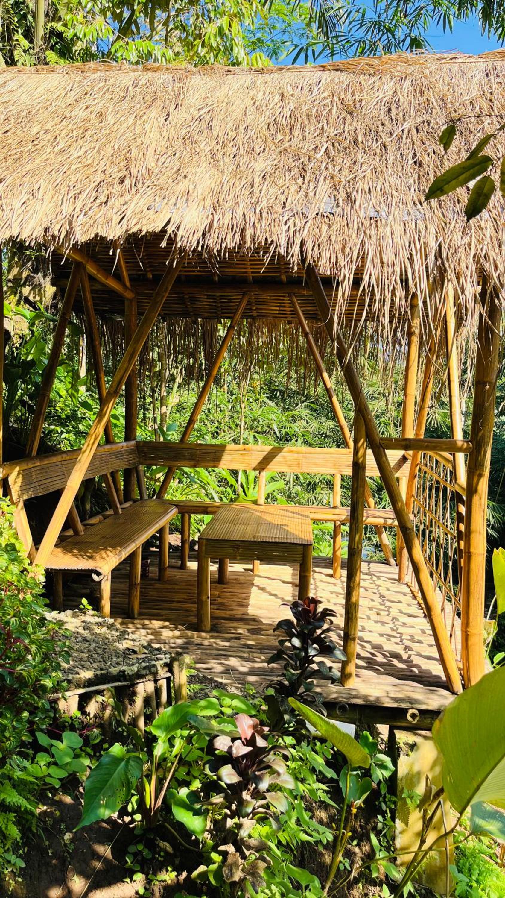 el bamboo guesthouse