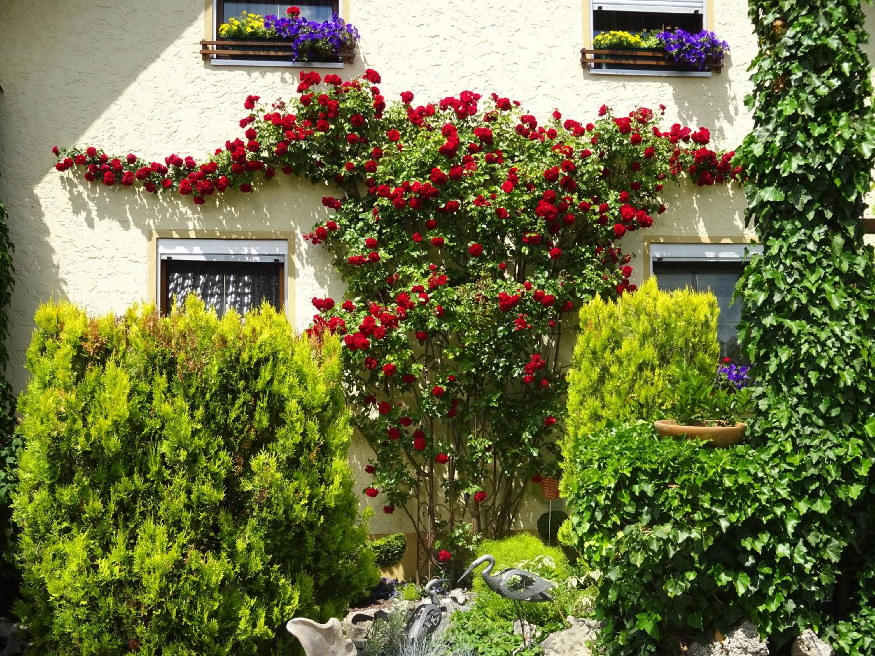 Ferienwohnung Wassergartenparadies
