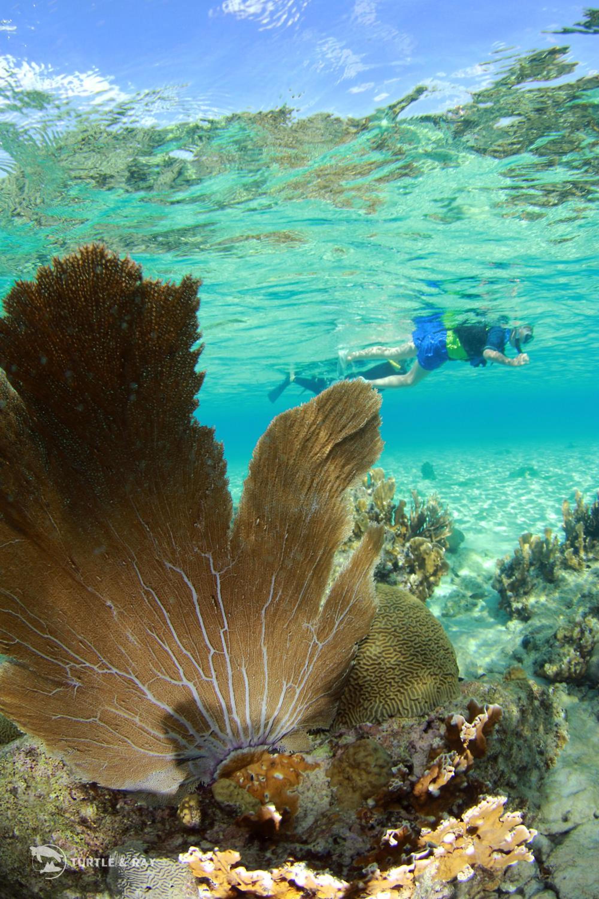 Lagun Blou Resort - Curacao