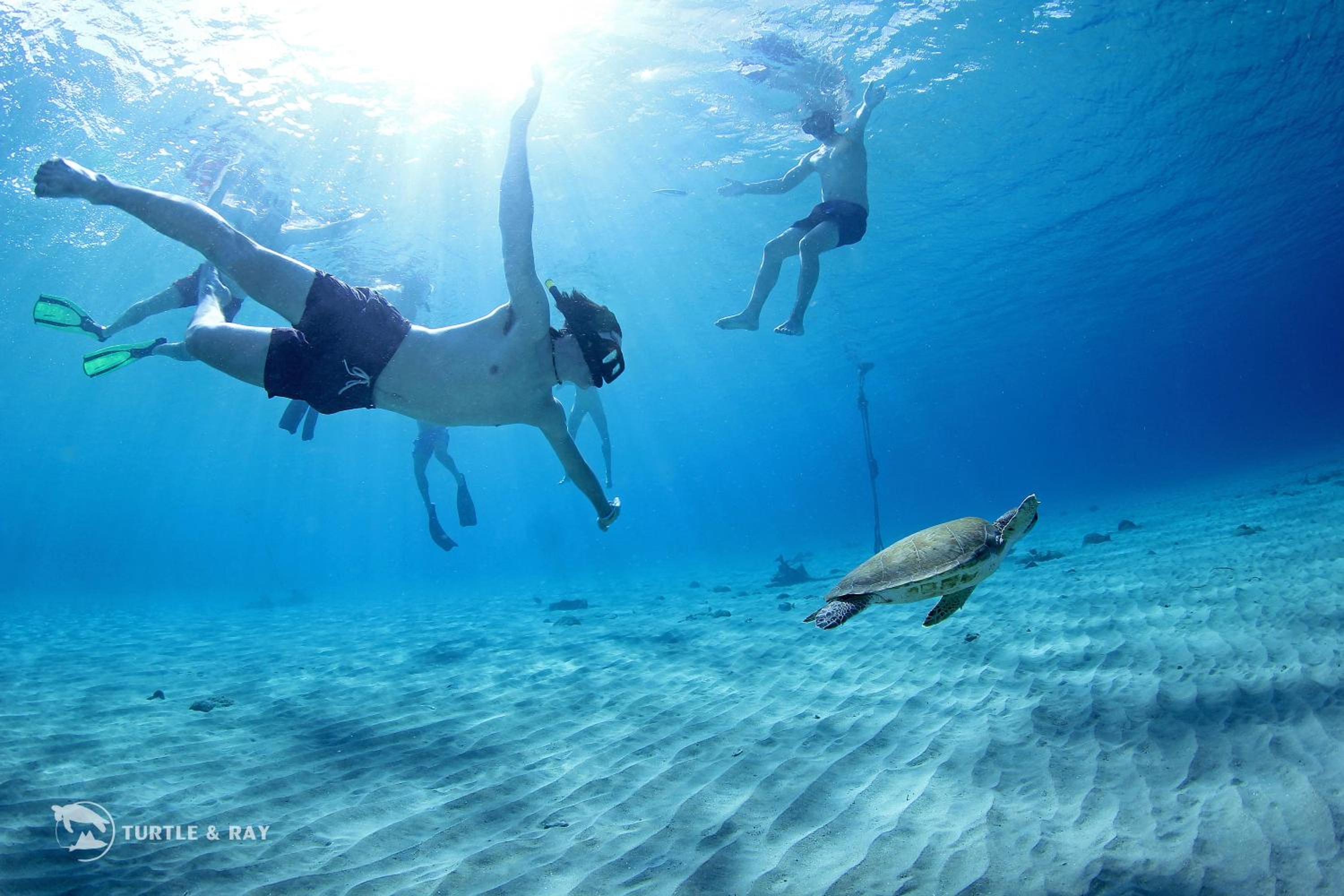 Lagun Blou Resort - Curacao