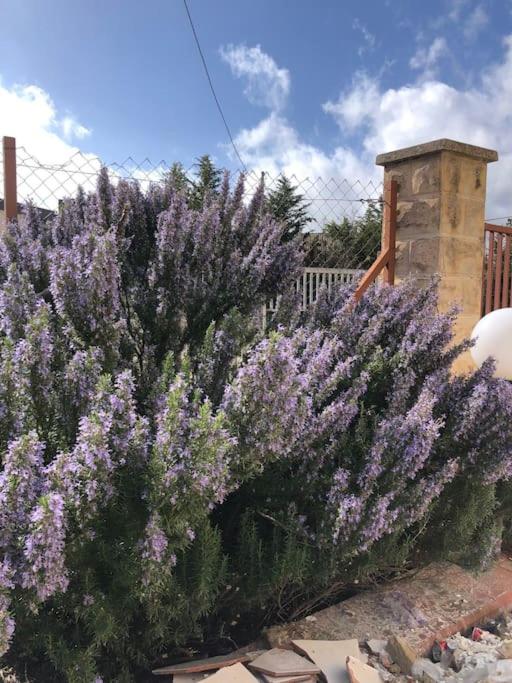 CanPujol Sicily
