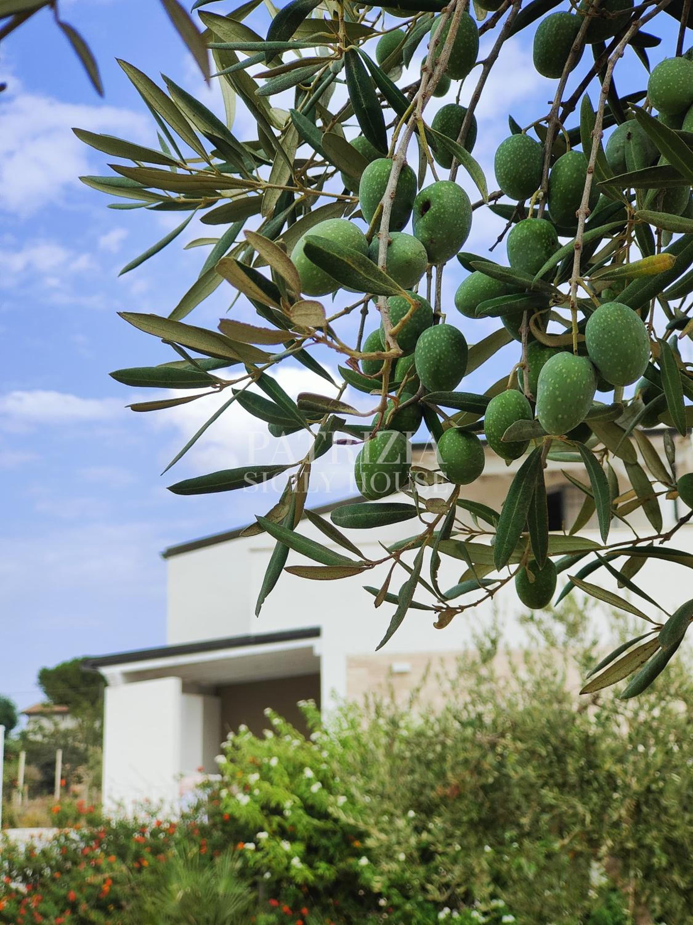 Patrizia Sicily House